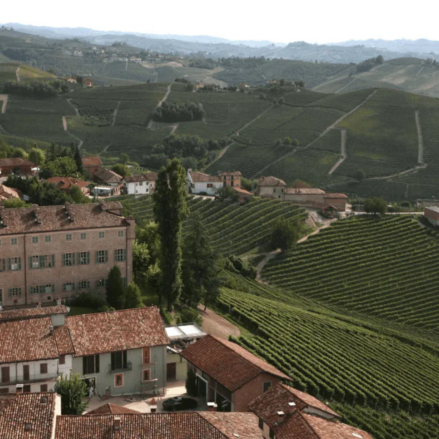 Normanby Fine Wines