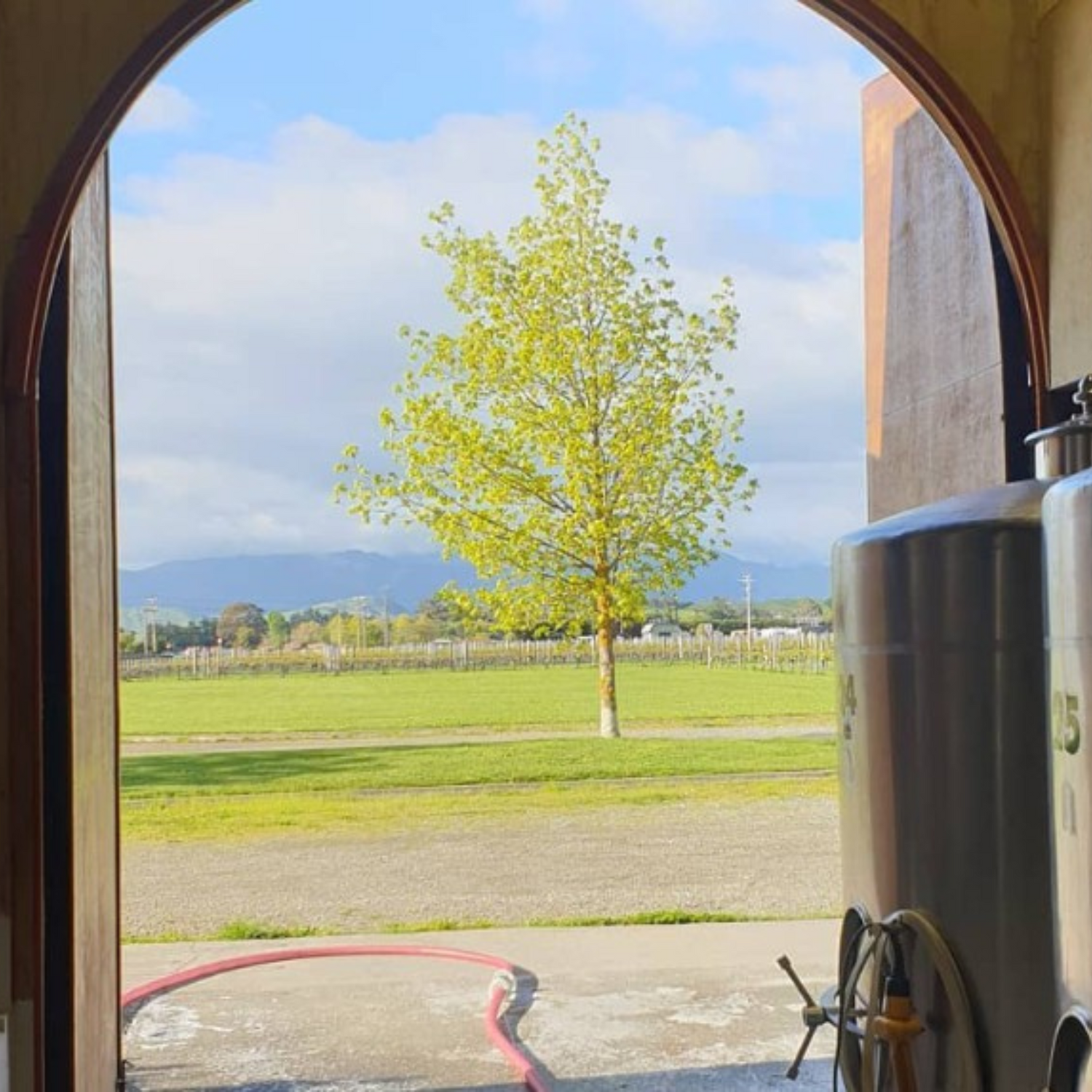 Normanby Fine Wines
