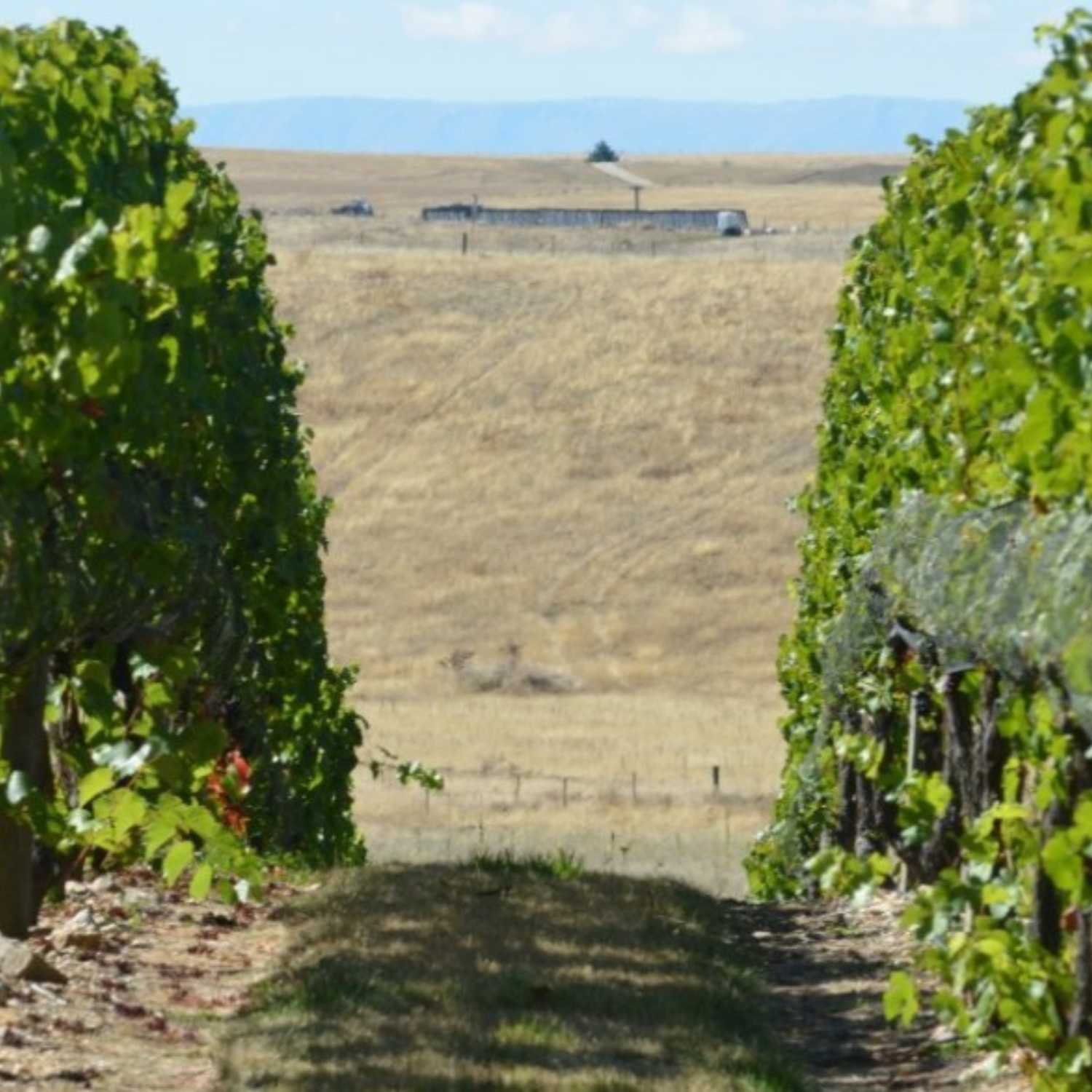 Normanby Fine Wines