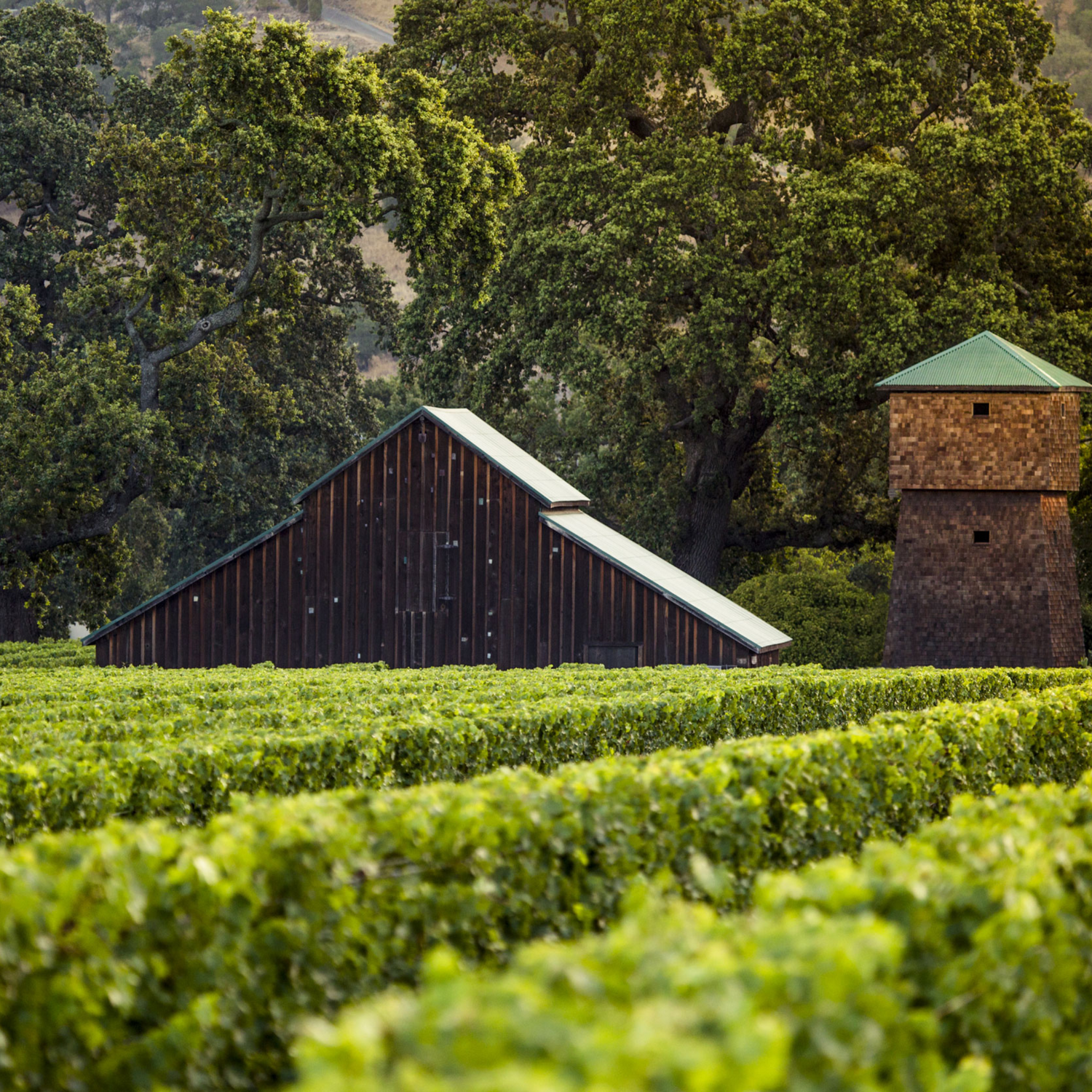 Normanby Fine Wines