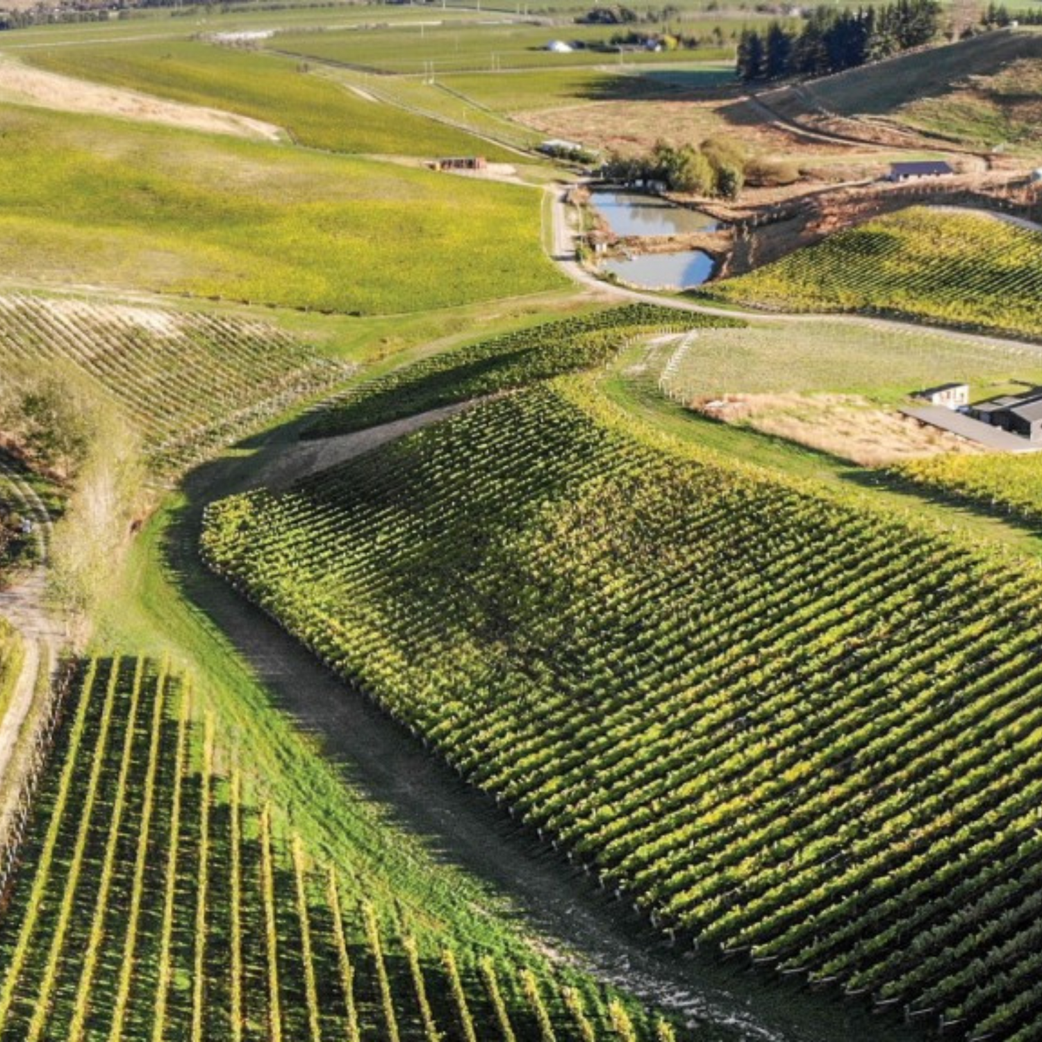 Normanby Fine Wines