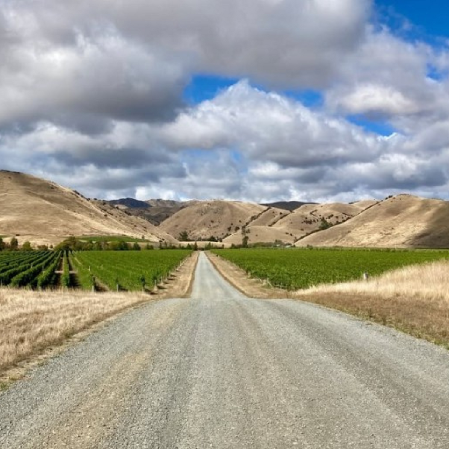 Normanby Fine Wines