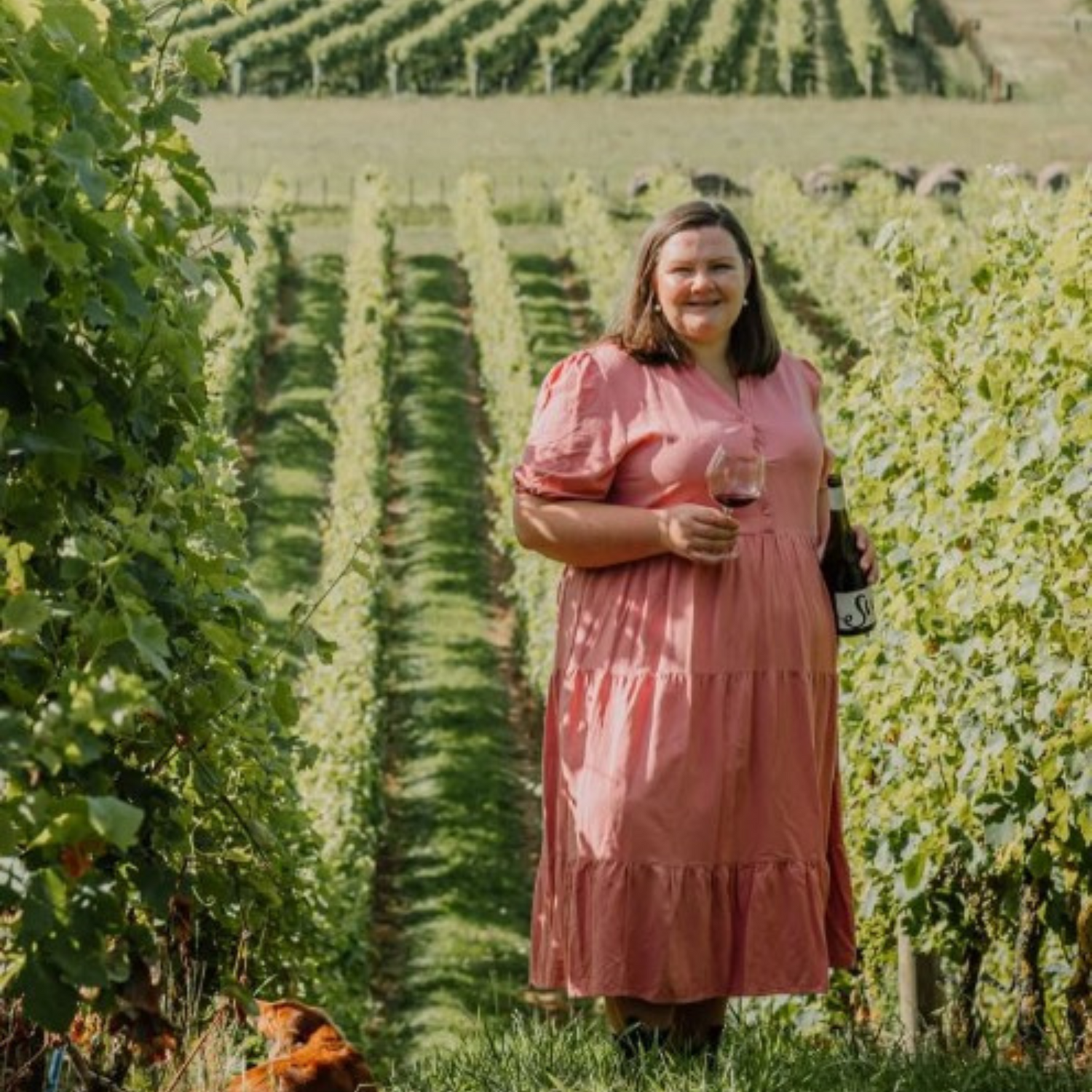Normanby Fine Wines