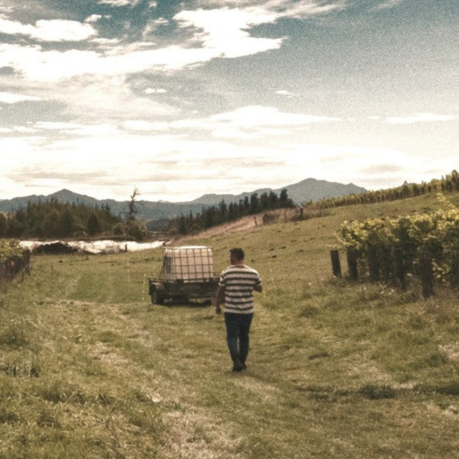 Normanby Fine Wines