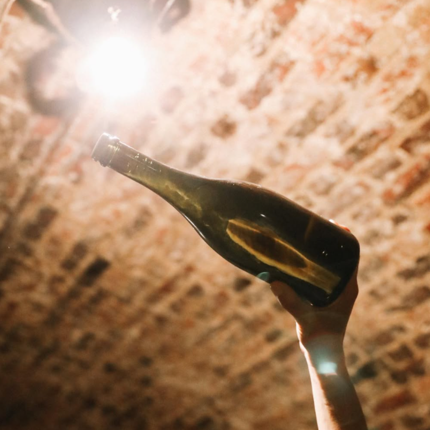 Normanby Fine Wines