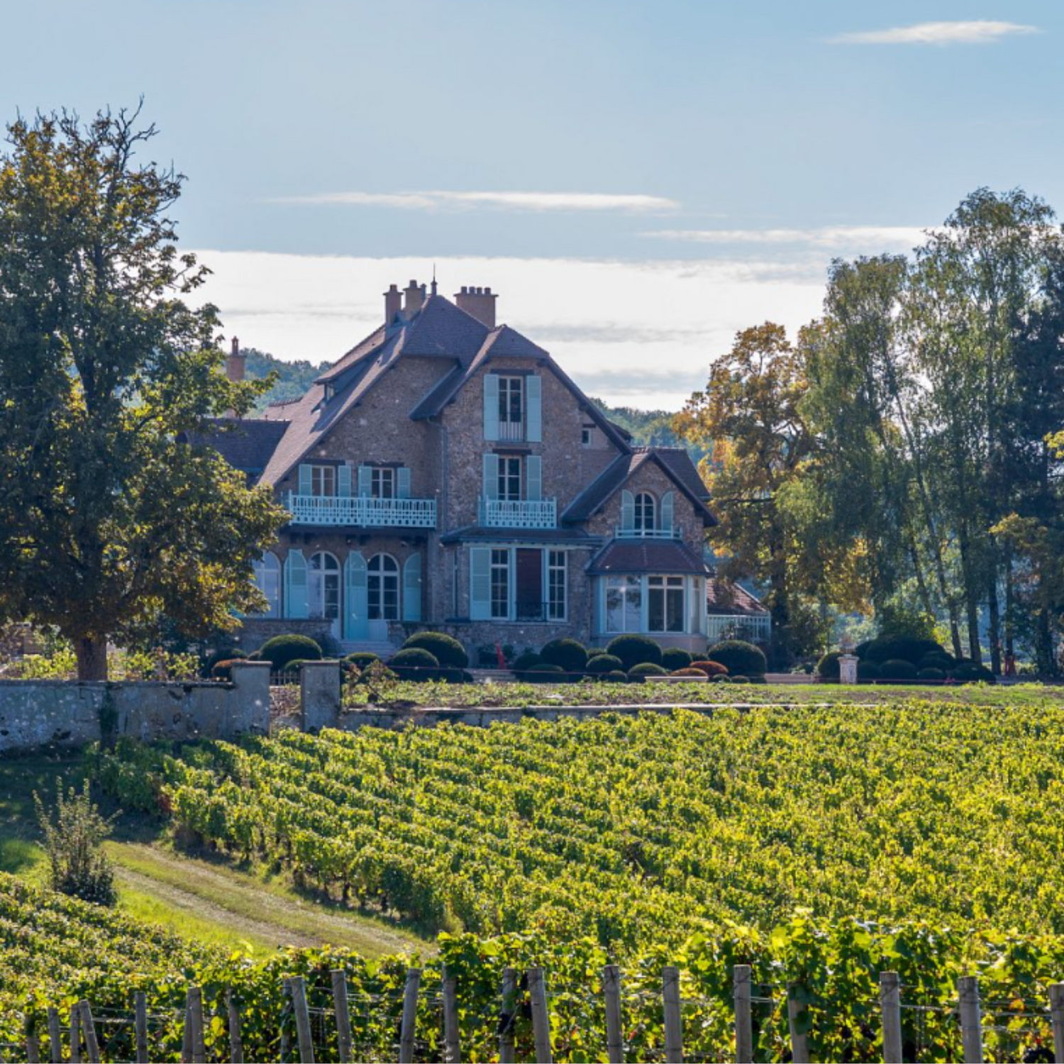 Normanby Fine Wines