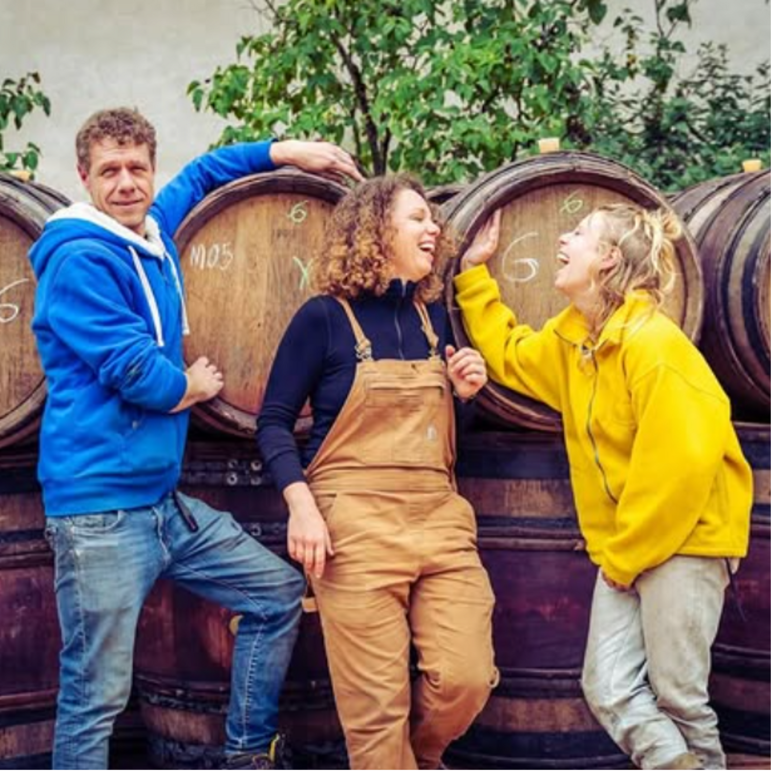 Normanby Fine Wines