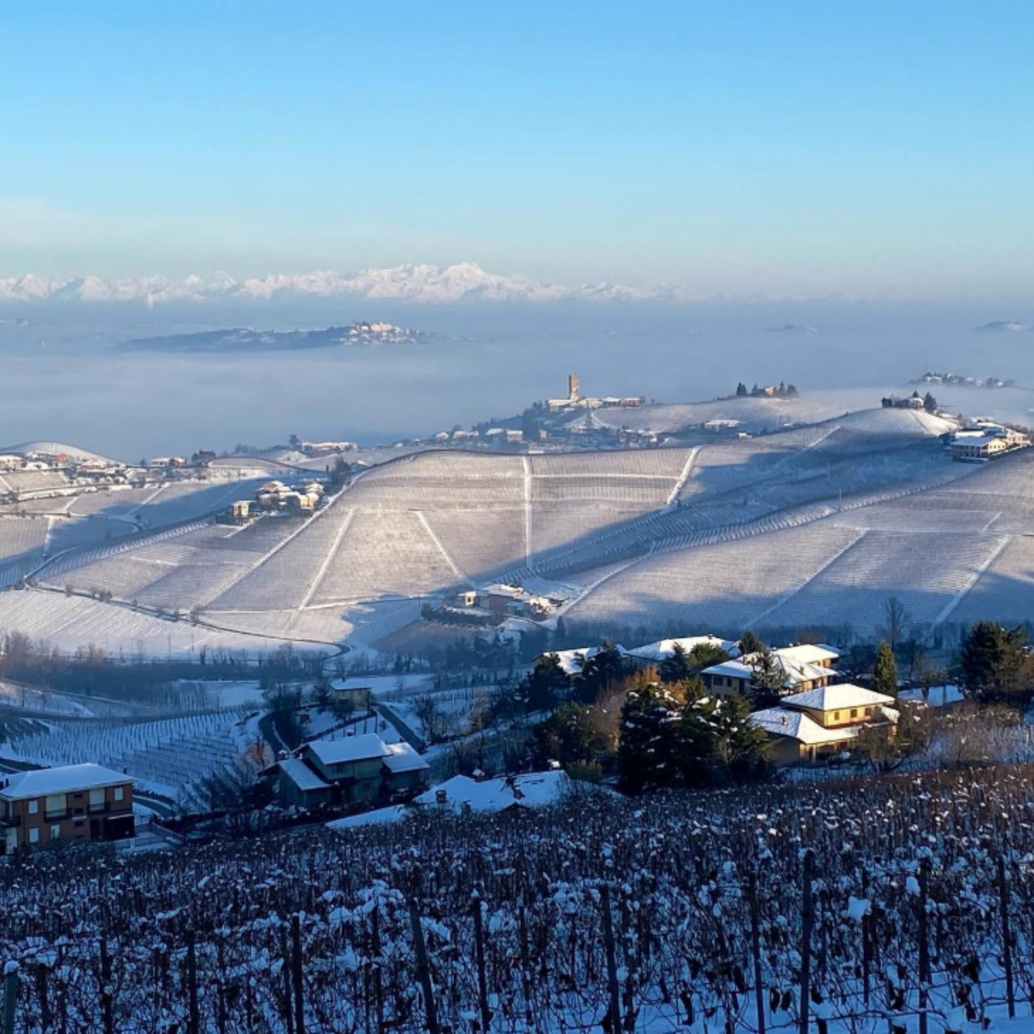 Normanby Fine Wines