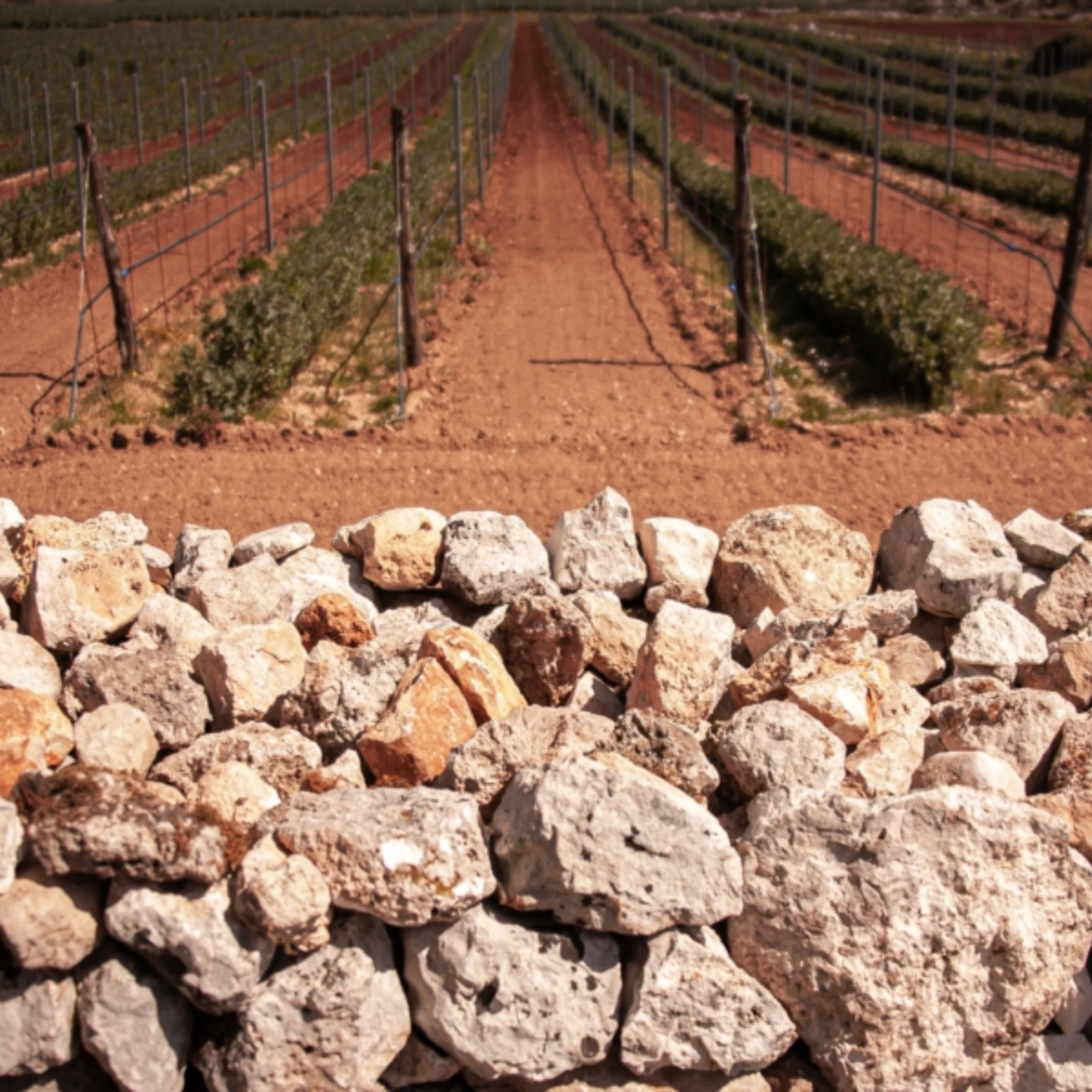 Normanby Fine Wines