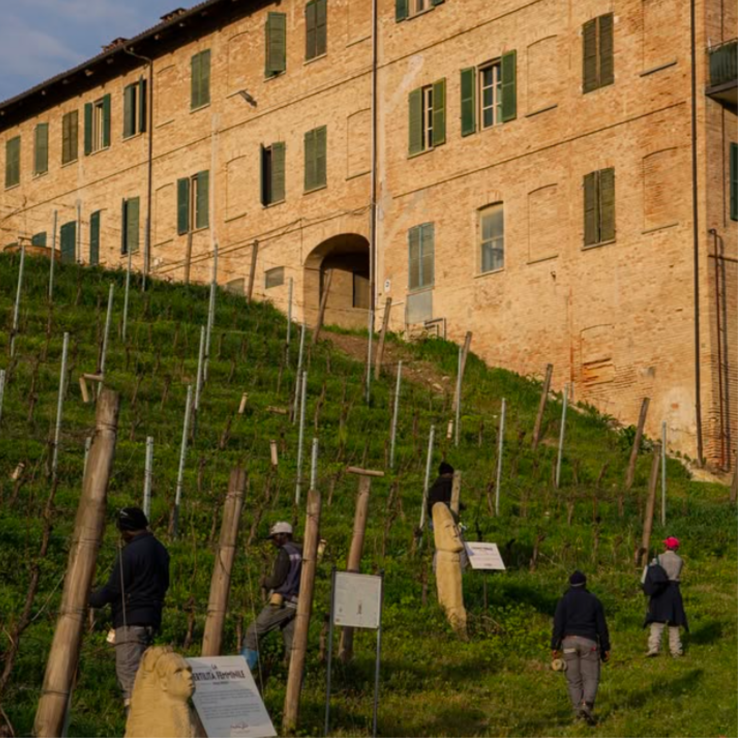 Normanby Fine Wines