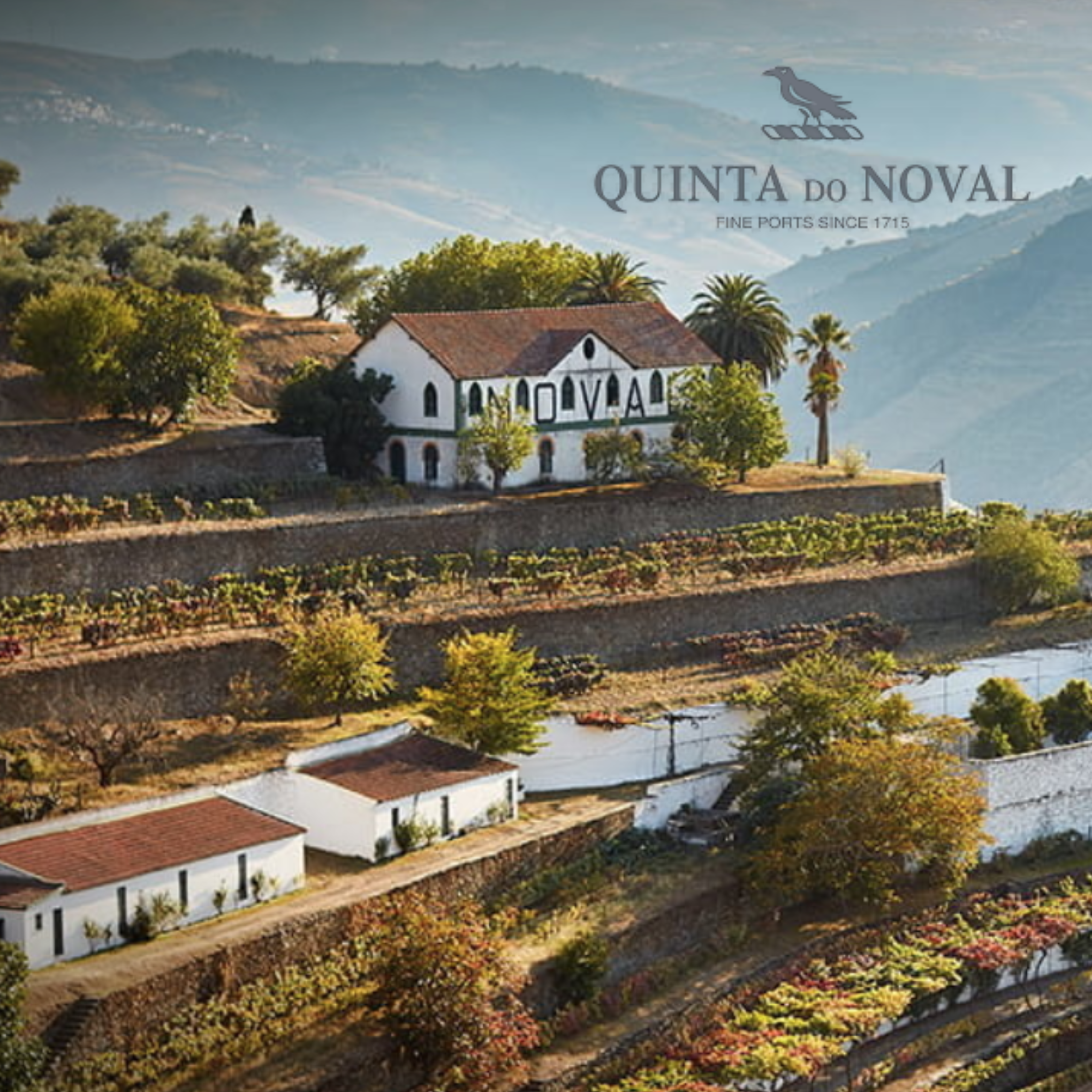 Aged & Elegant: Noval Tawny and Colheita Tasting