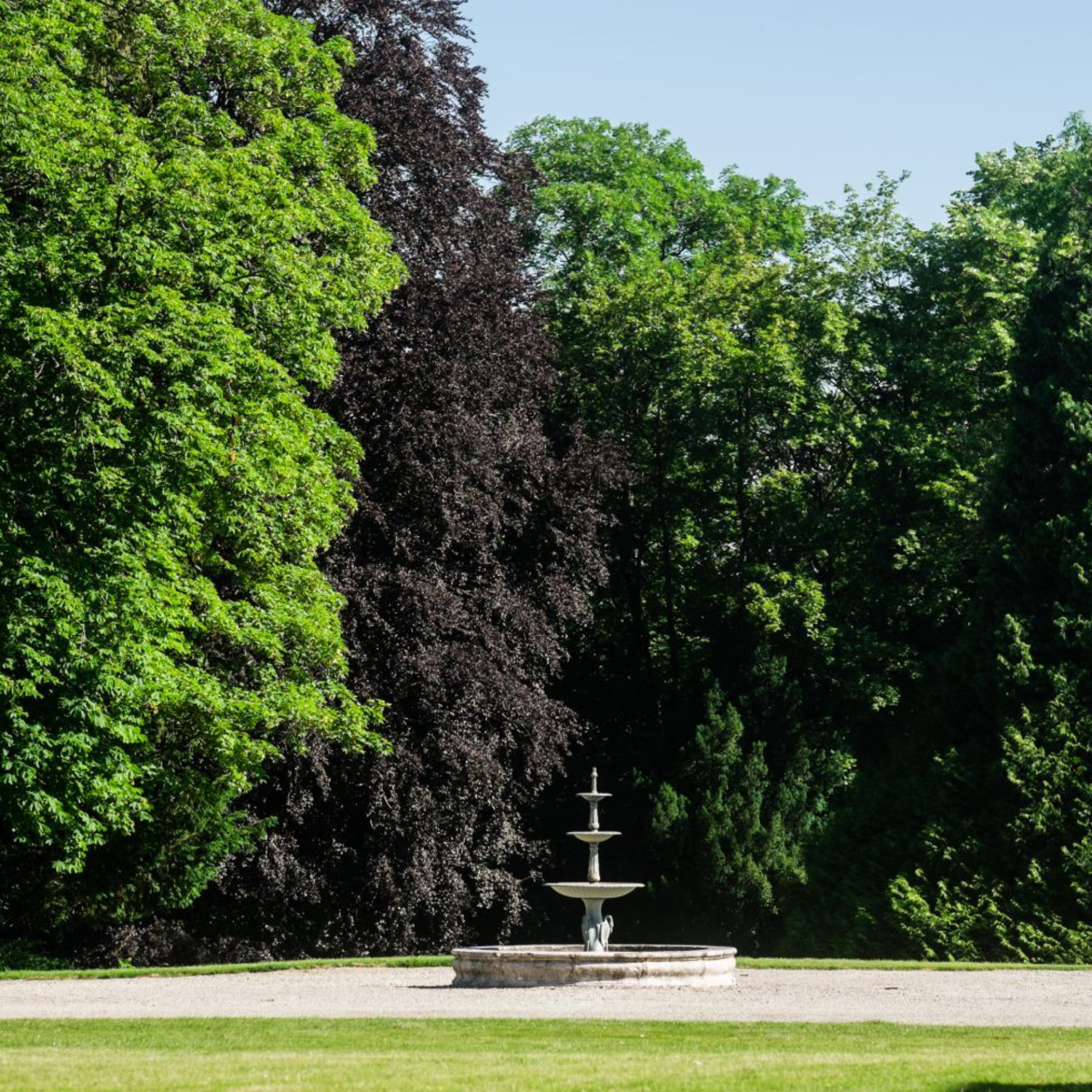 Normanby Fine Wines