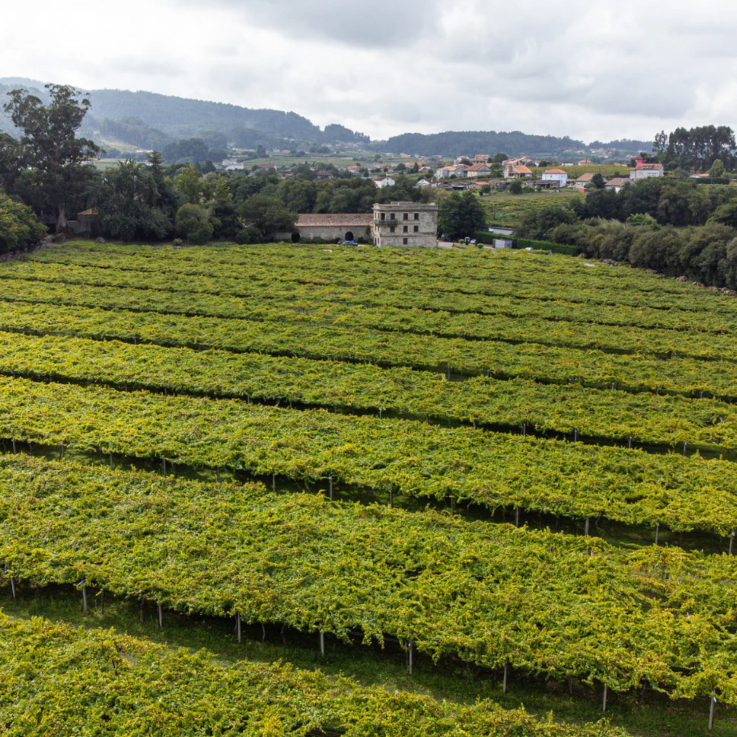 Normanby Fine Wines