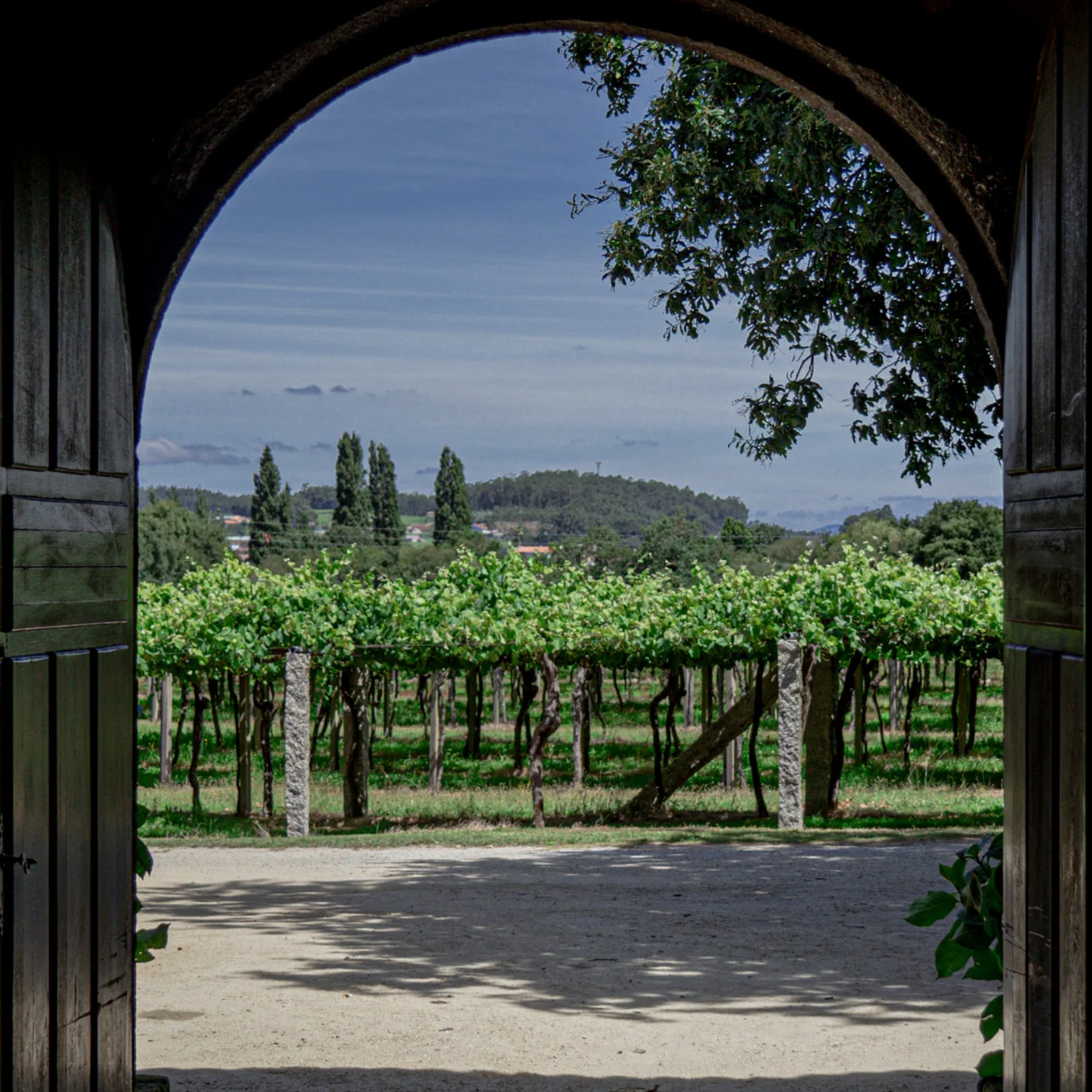 Normanby Fine Wines