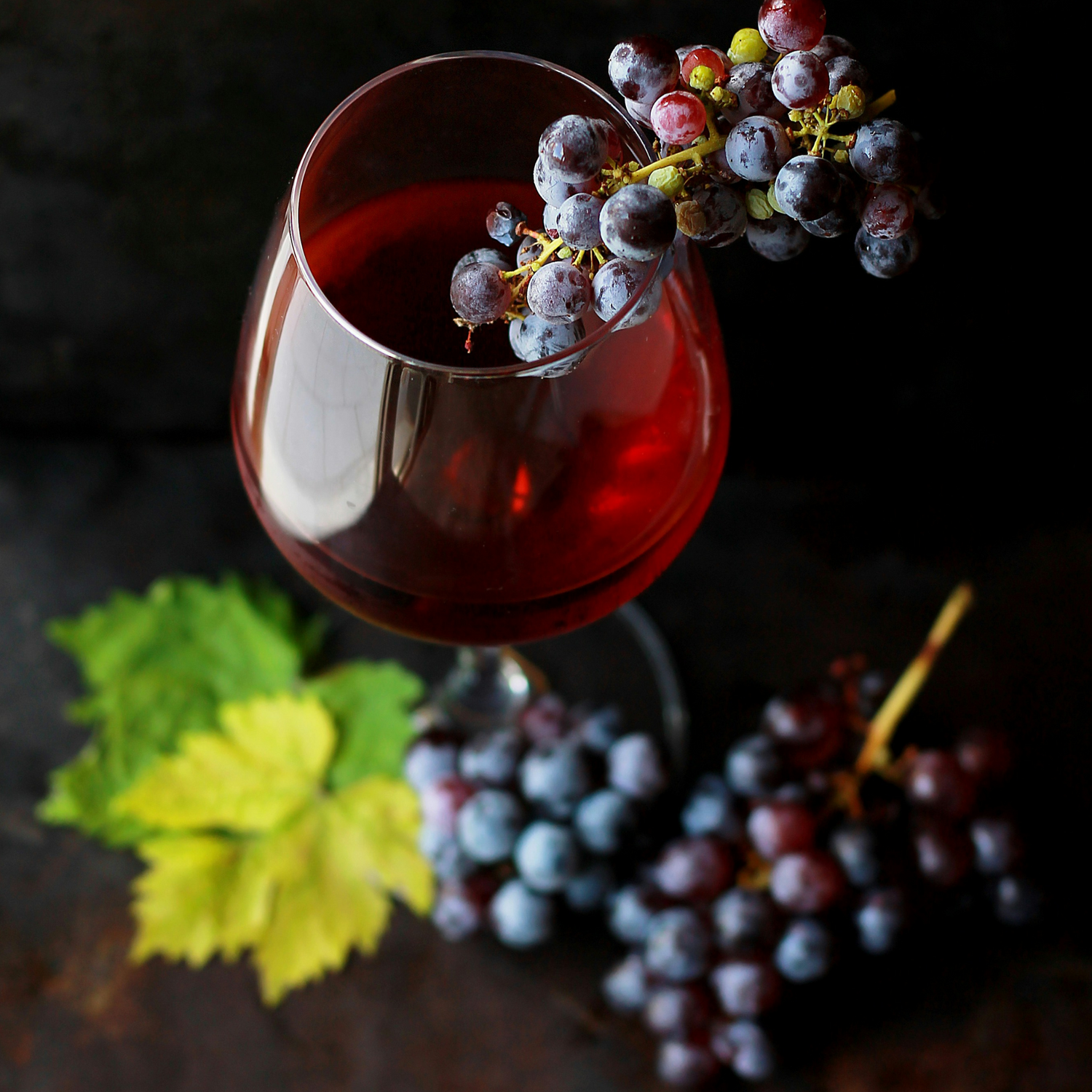 Normanby Fine Wines