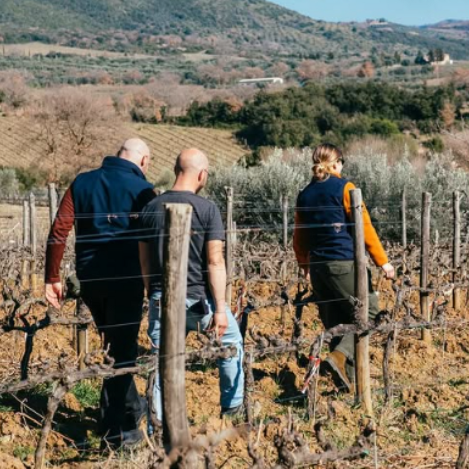 Normanby Fine Wines