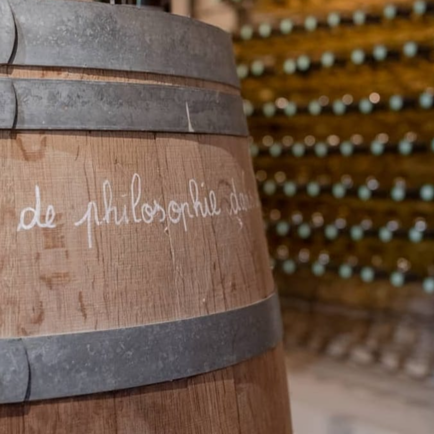 Normanby Fine Wines