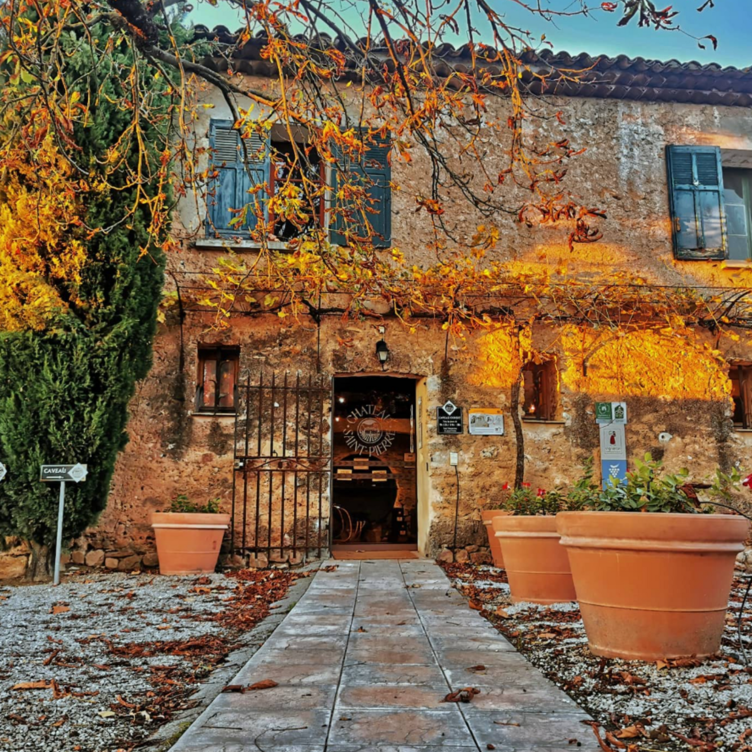 Normanby Fine Wines