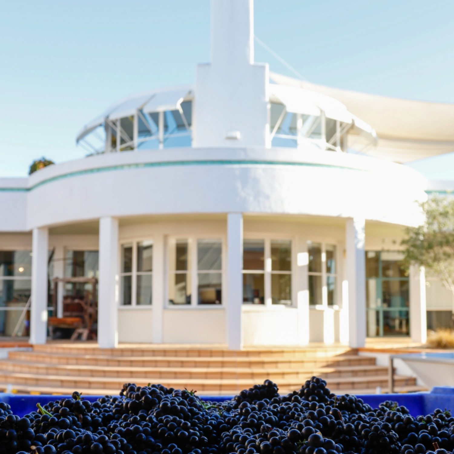 Normanby Fine Wines