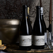 Terroir in White Limestone, Fossils & Elevation - Wellington (18 June)