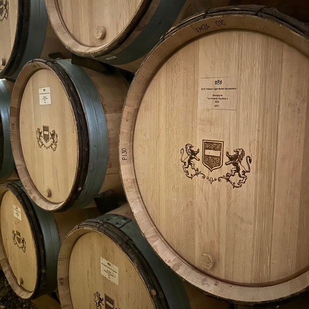 Domaine Thibault Liger-Belair - Wellington 29 October