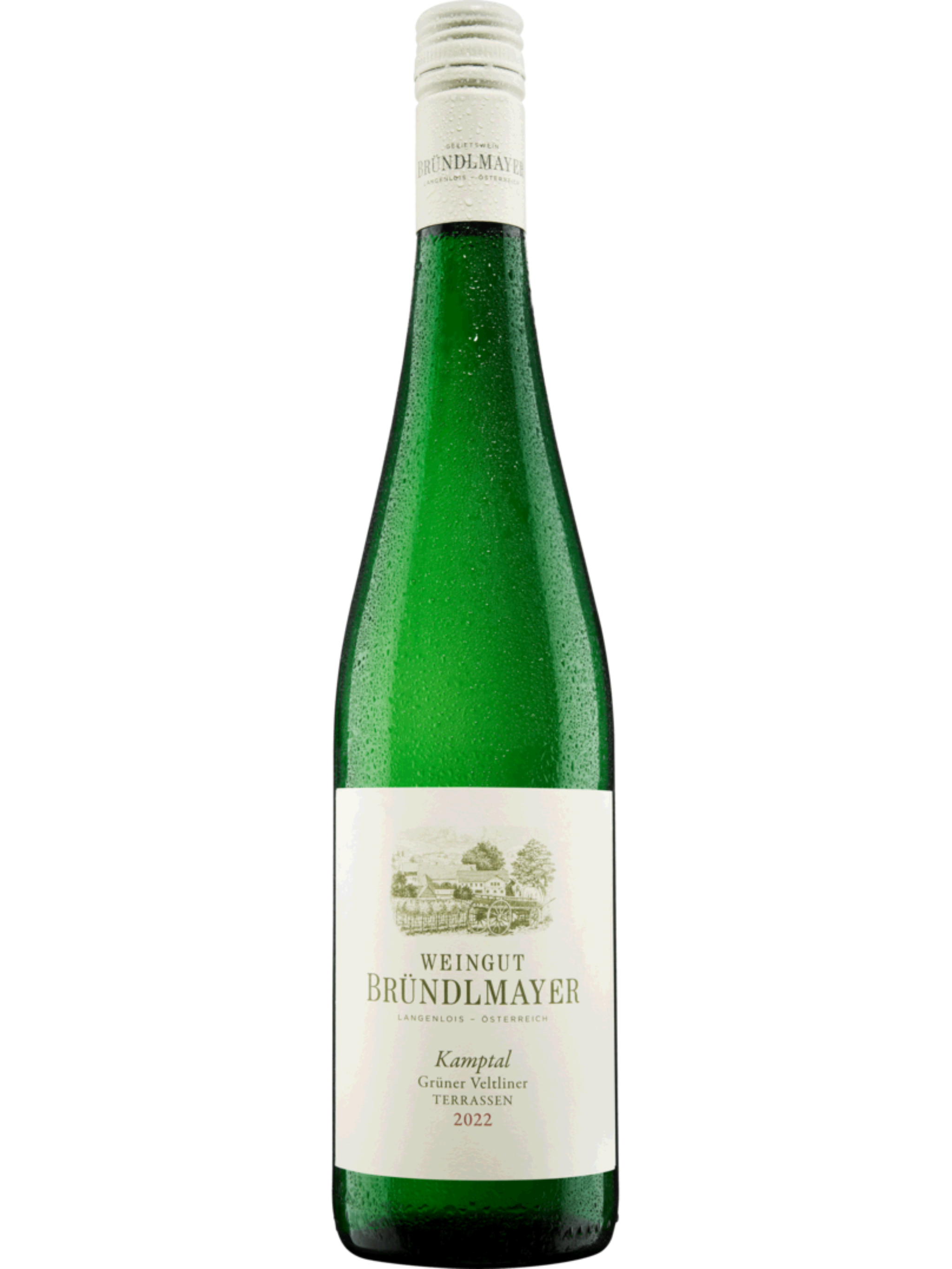 Weingut Bründlmayer Kamptaler Terrassen Grüner Veltliner DAC 2023 (750ml)