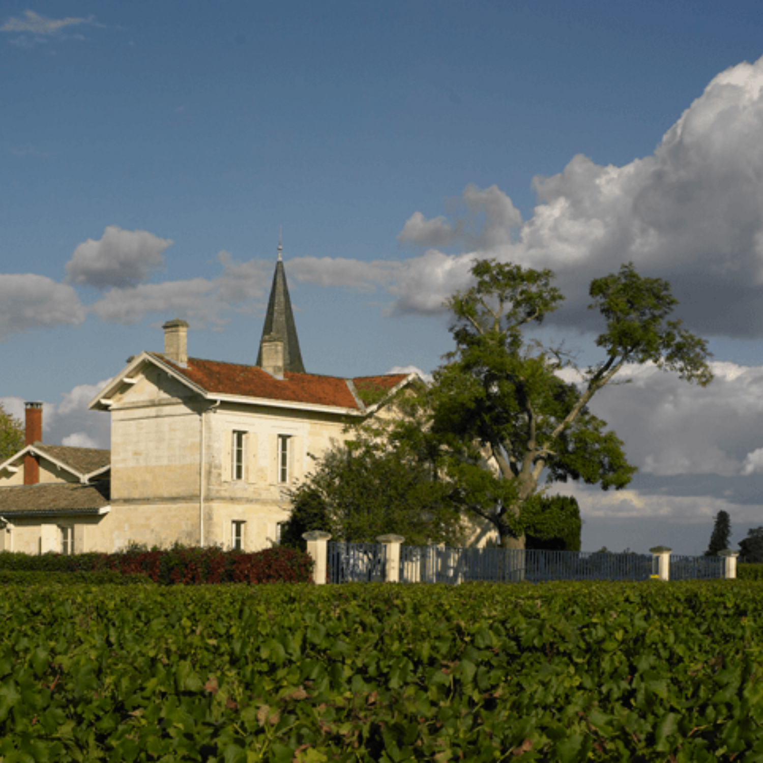 Normanby Fine Wines