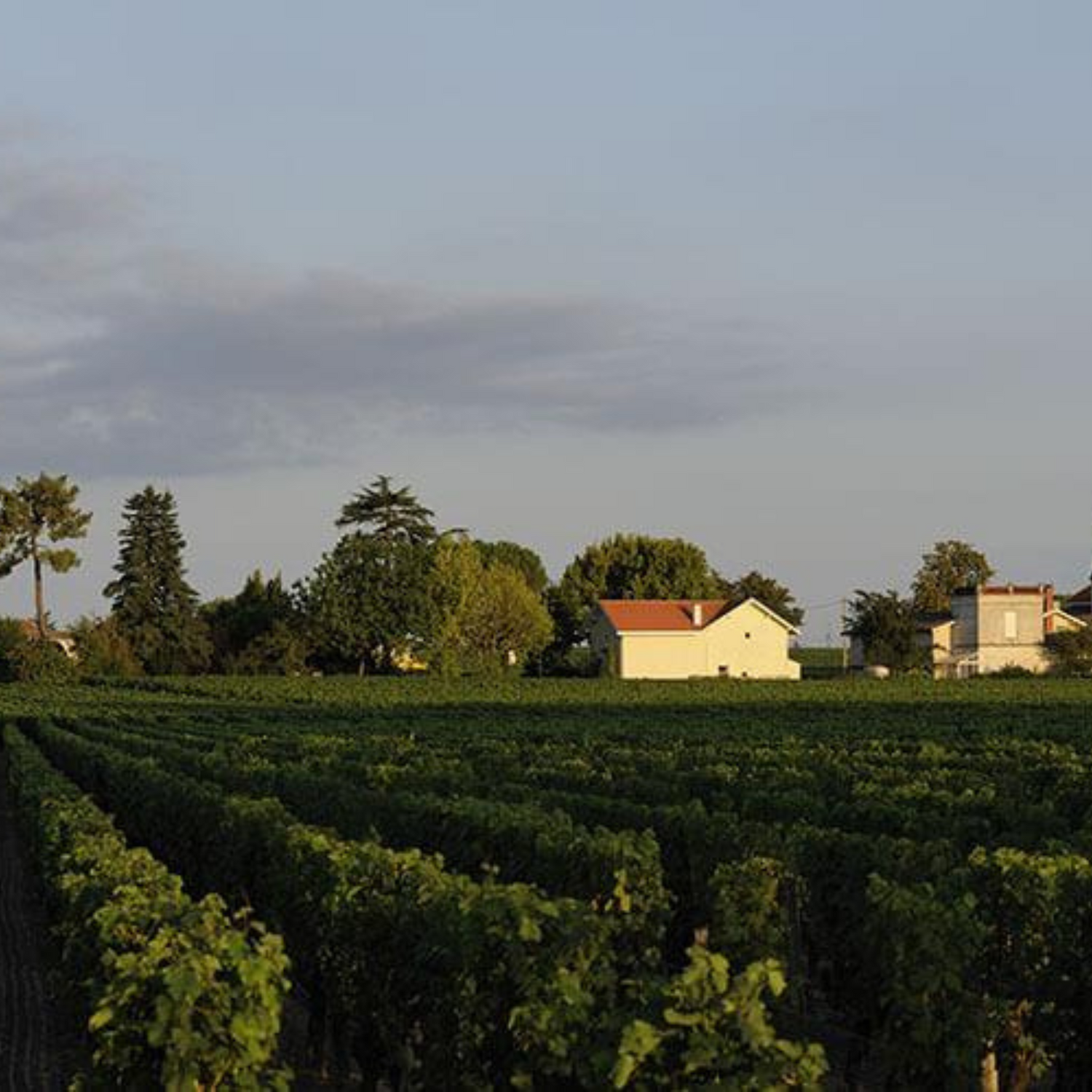 Normanby Fine Wines