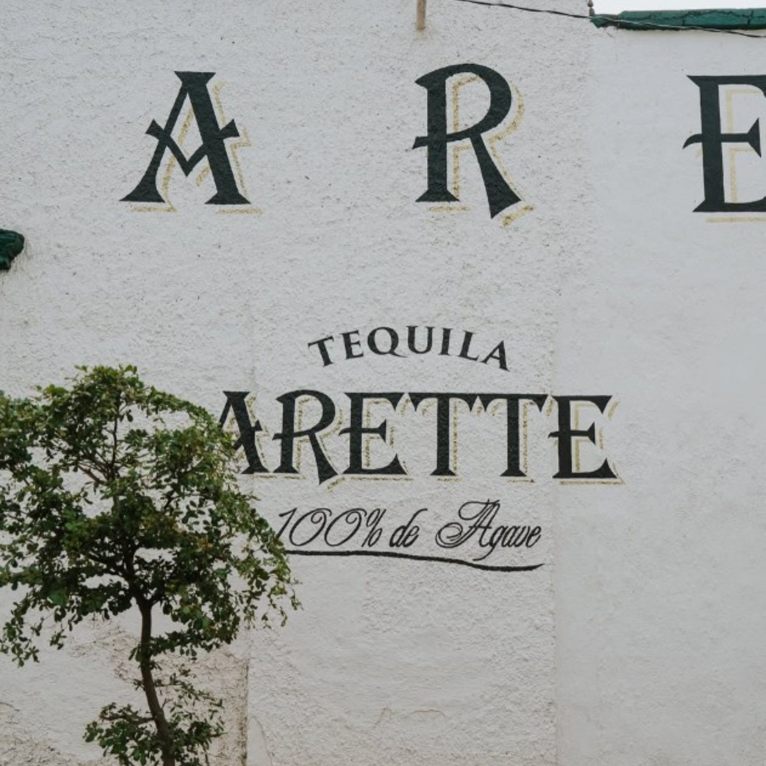 Normanby Fine Wines