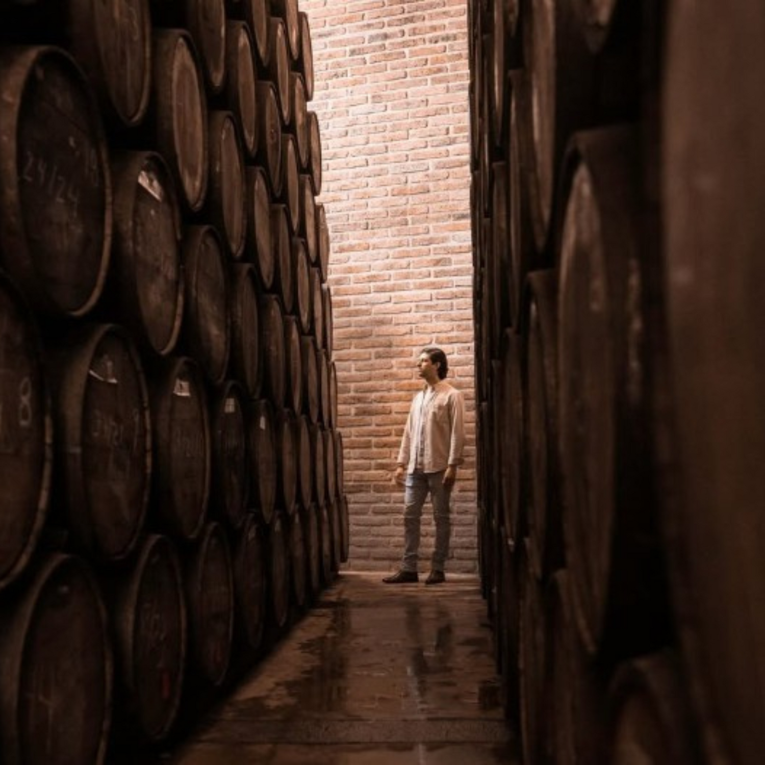 Normanby Fine Wines