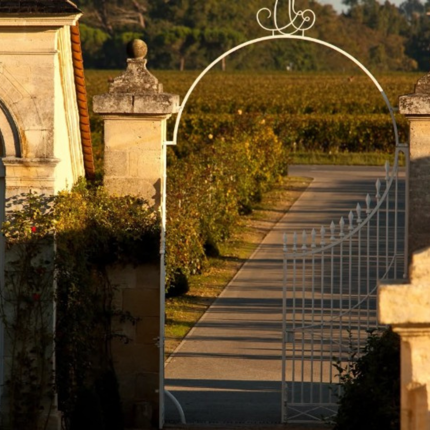 Normanby Fine Wines