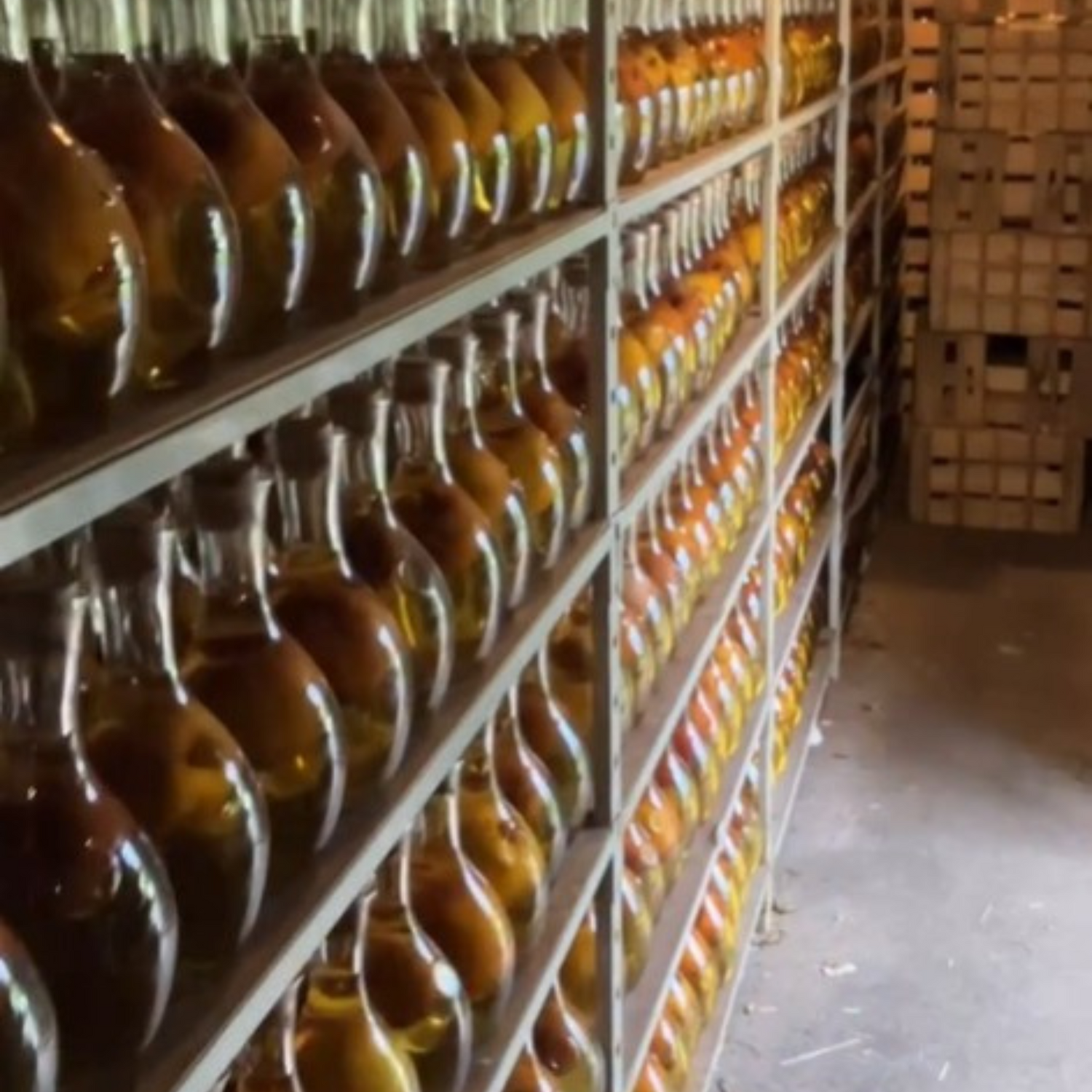 Normanby Fine Wines