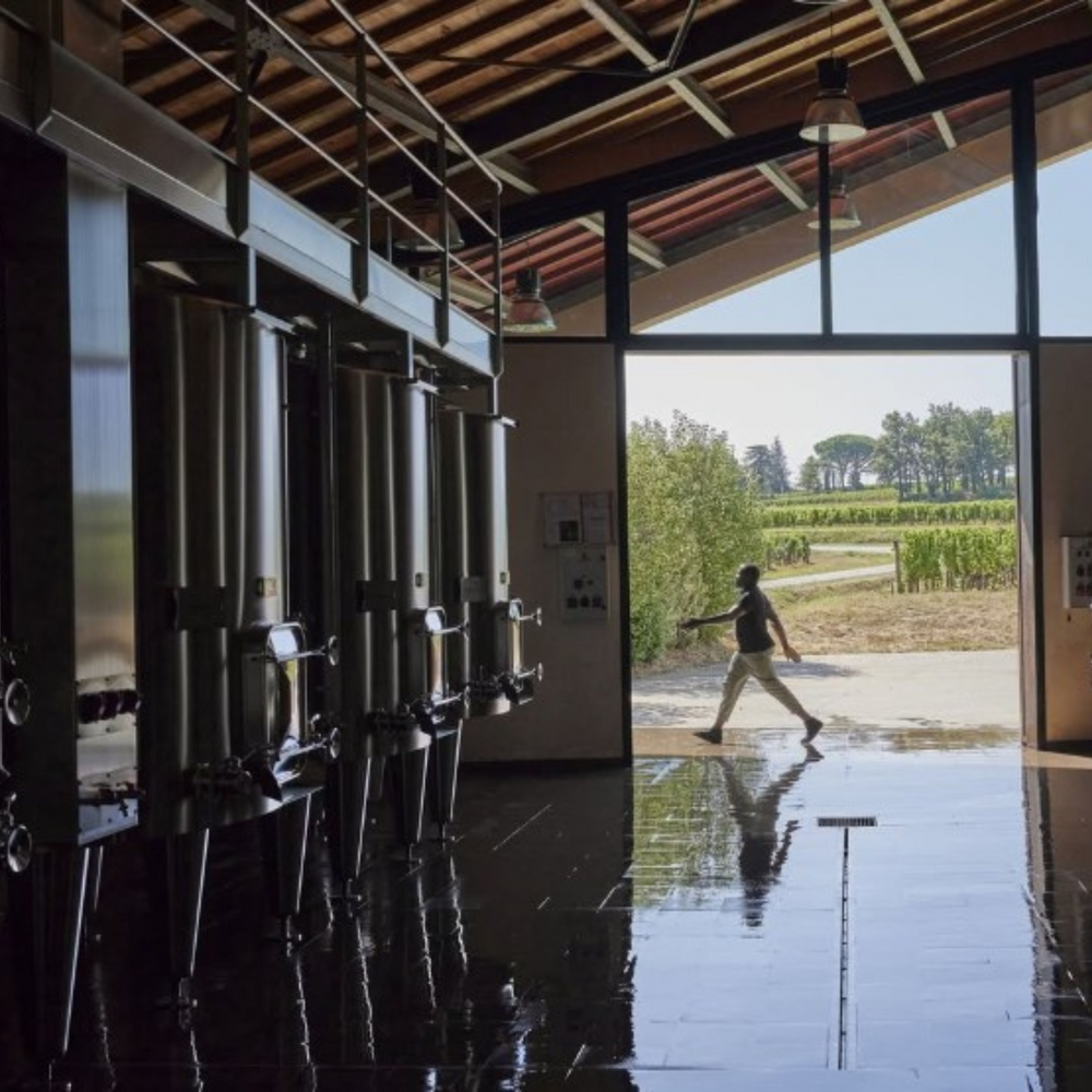 Normanby Fine Wines