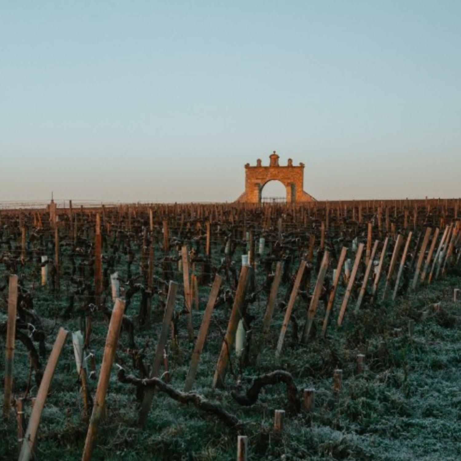 Normanby Fine Wines