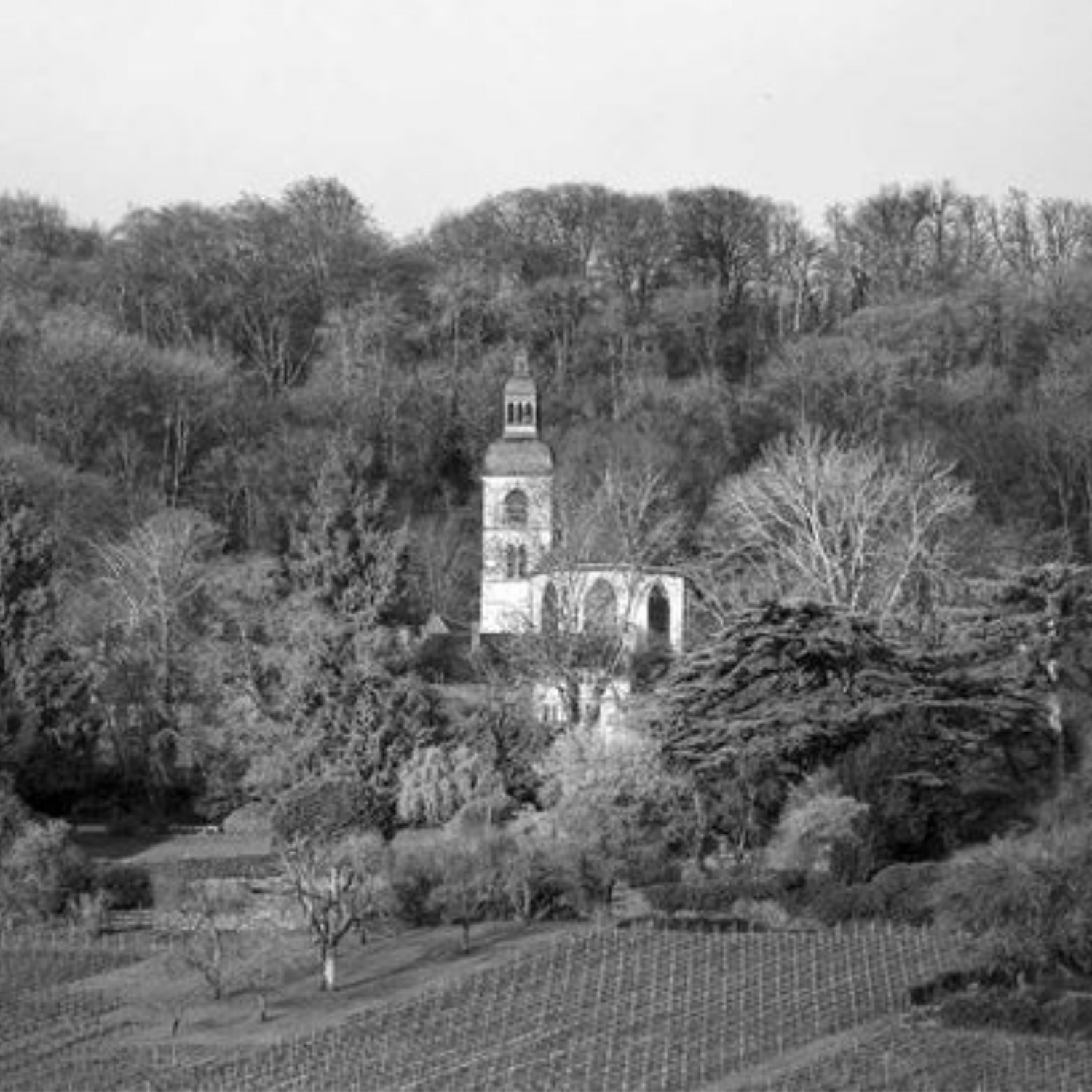 Normanby Fine Wines