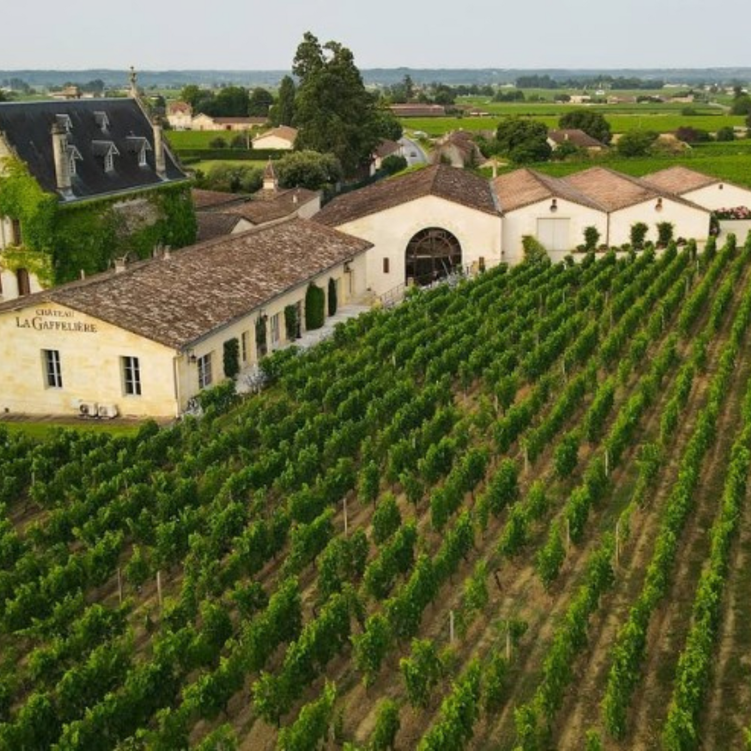 Normanby Fine Wines