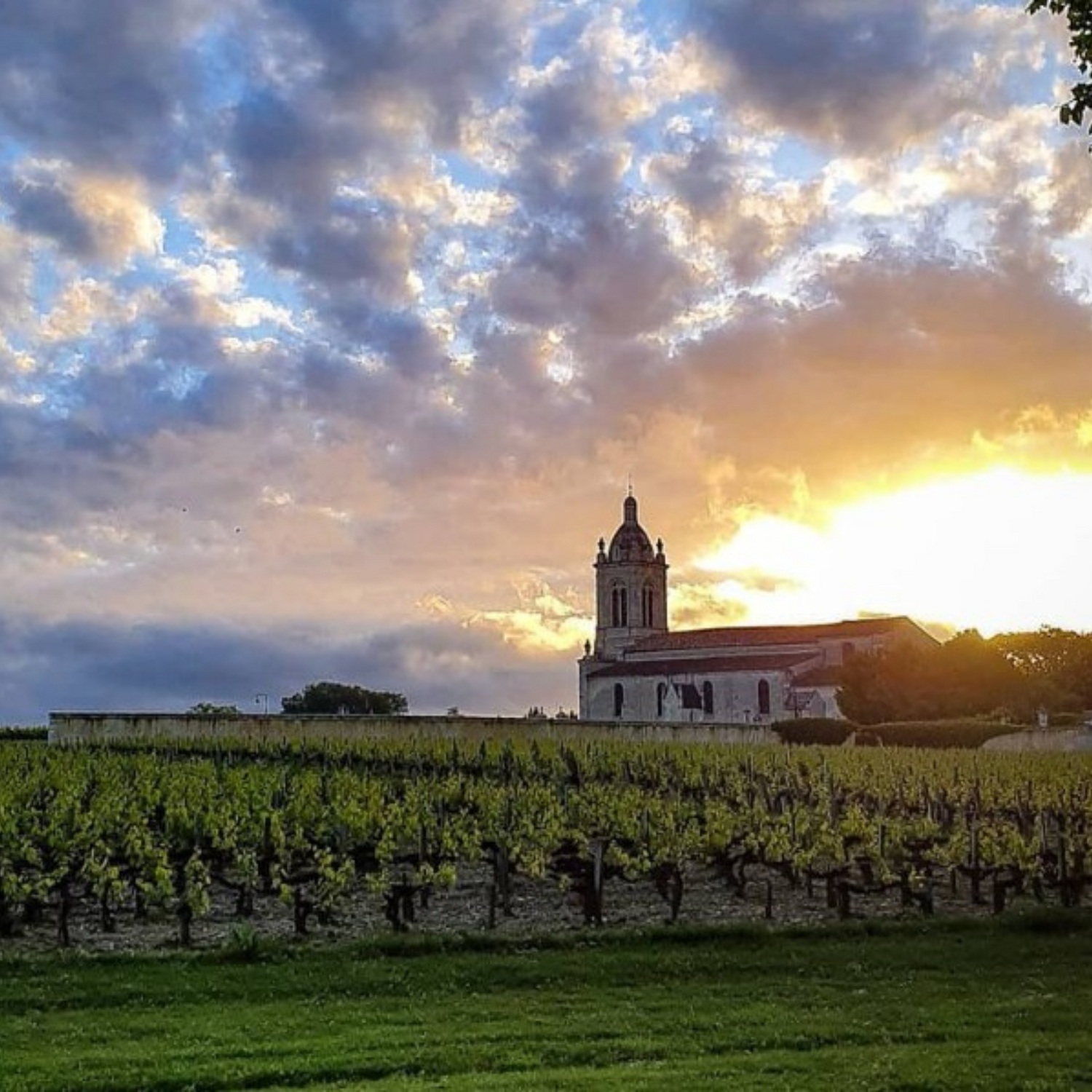 Normanby Fine Wines