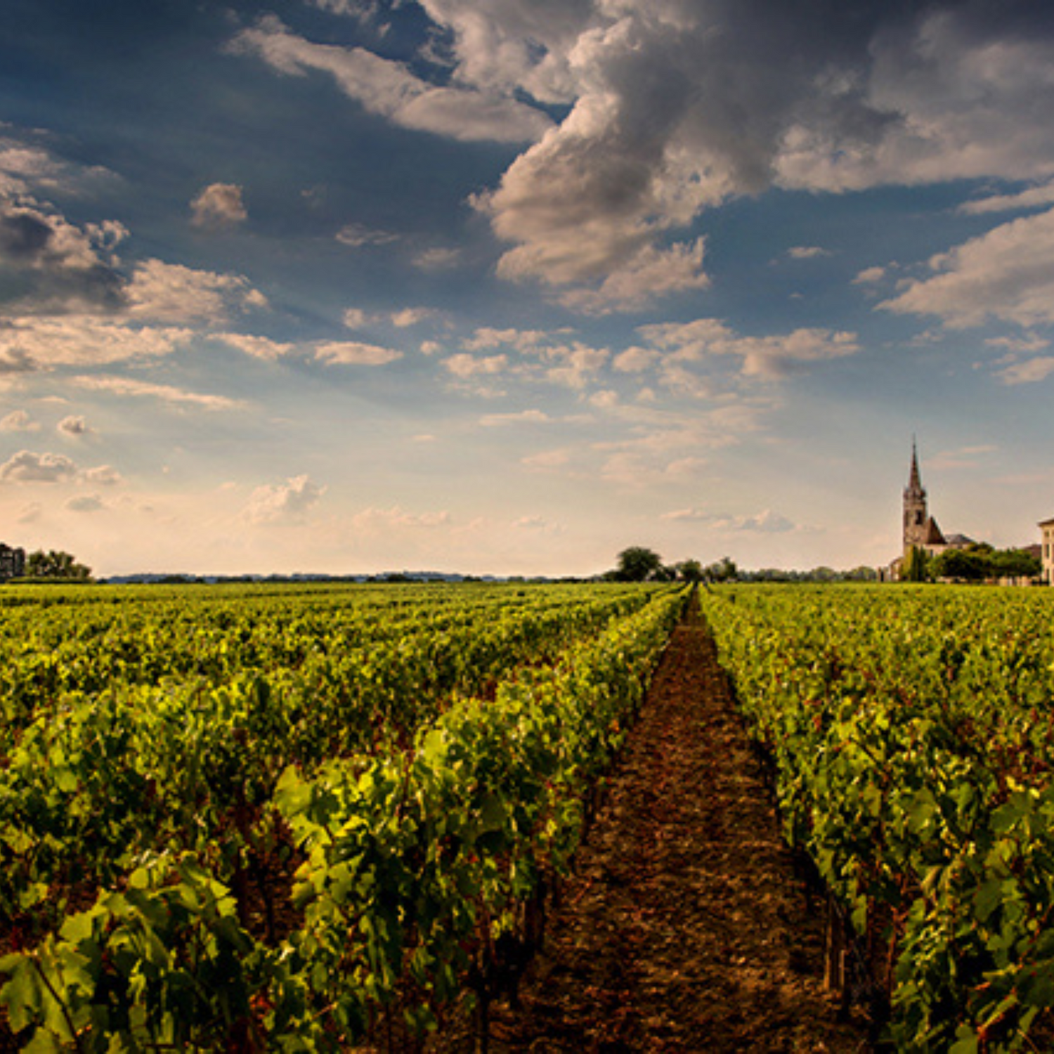 Normanby Fine Wines