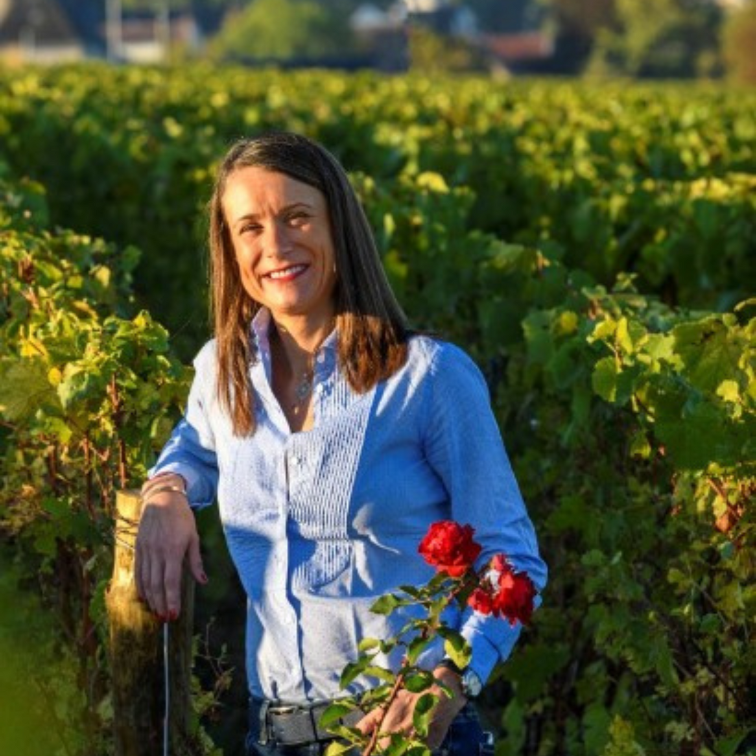 Normanby Fine Wines
