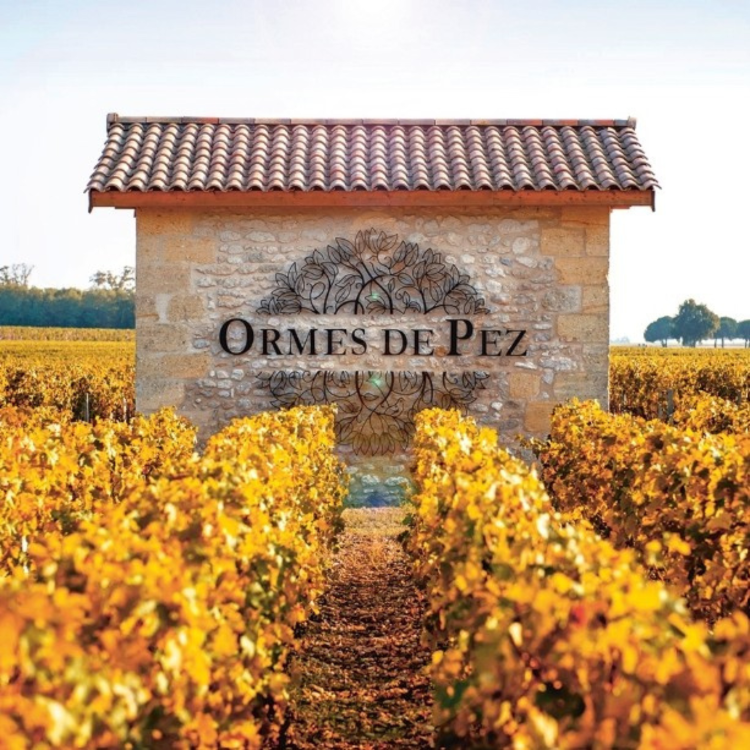 Normanby Fine Wines