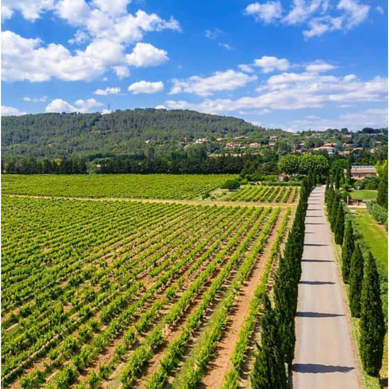 Normanby Fine Wines