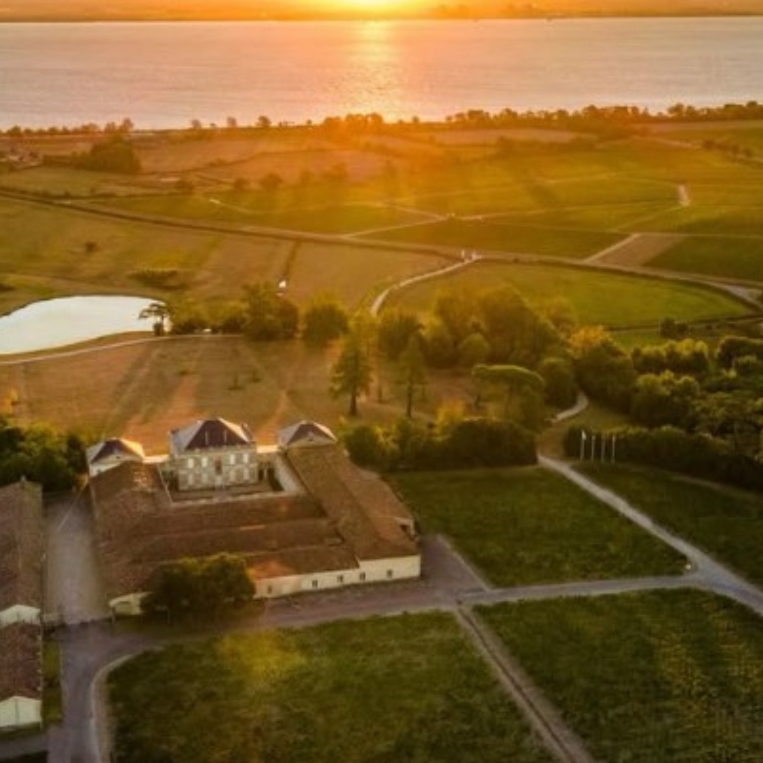 Normanby Fine Wines