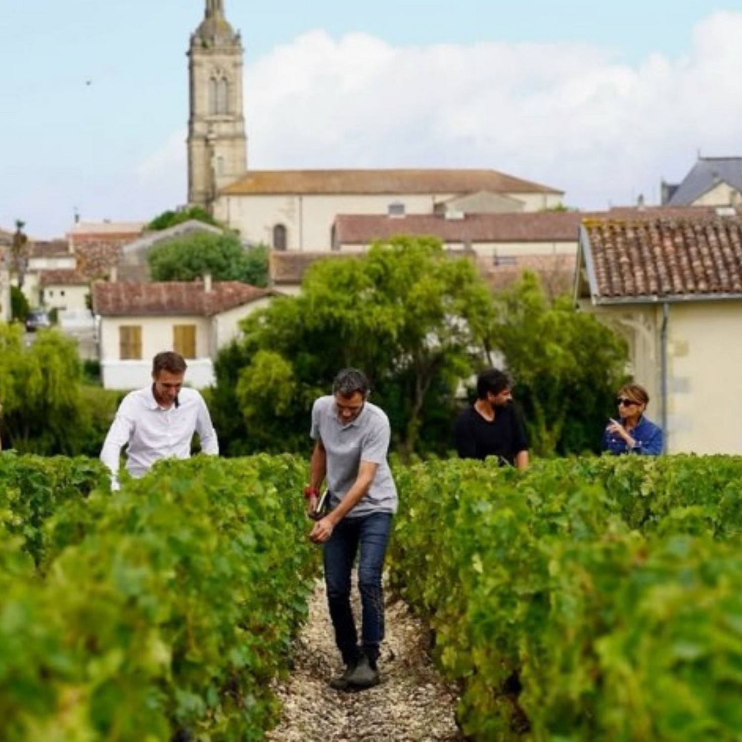 Normanby Fine Wines