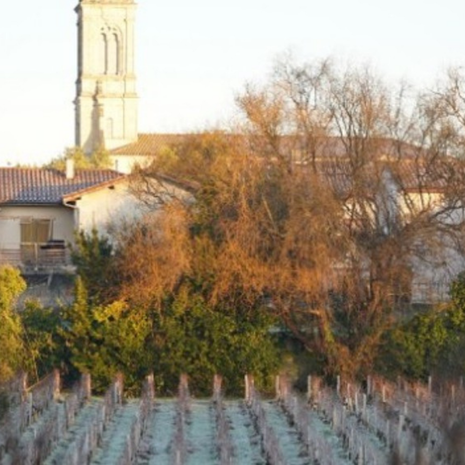 Normanby Fine Wines