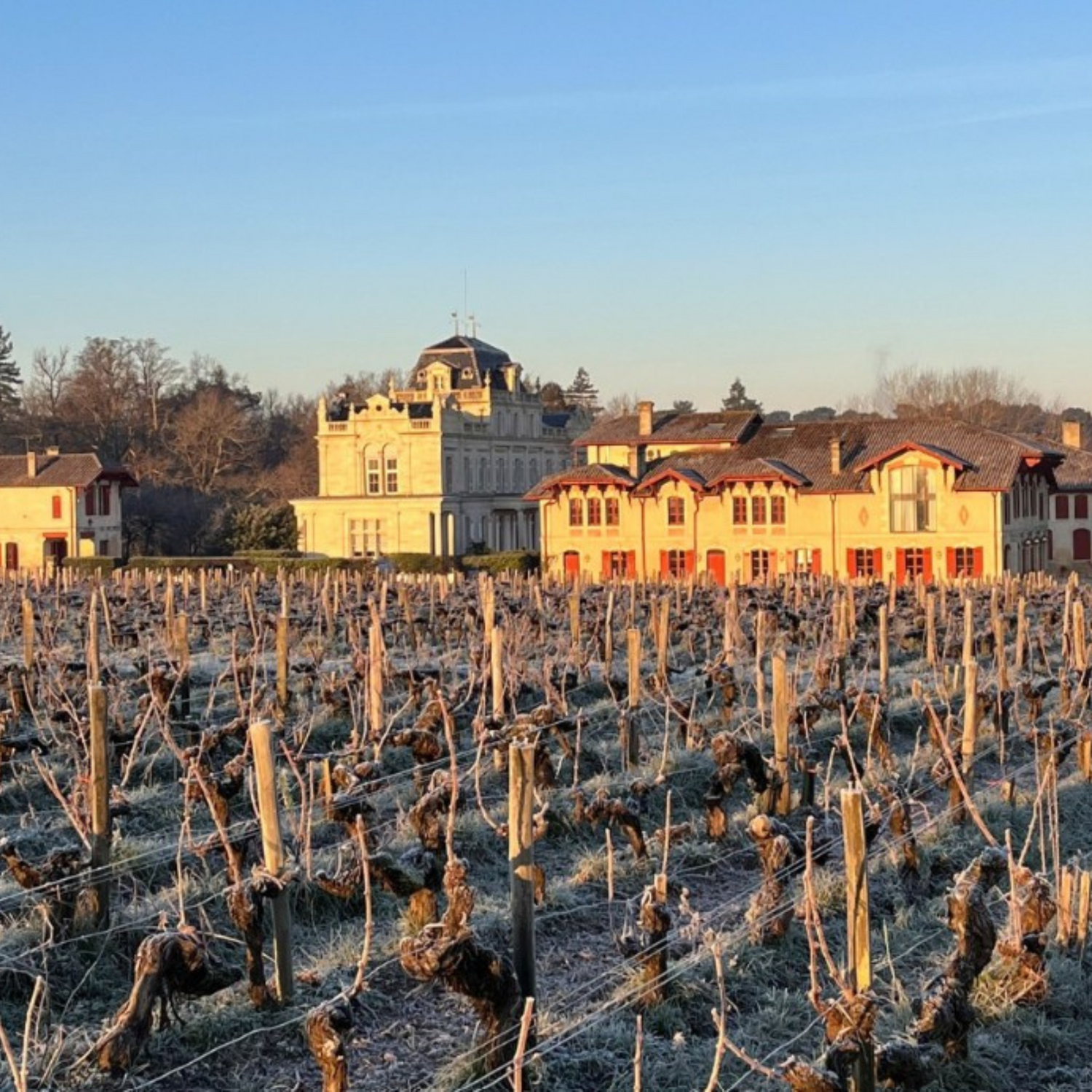 Normanby Fine Wines