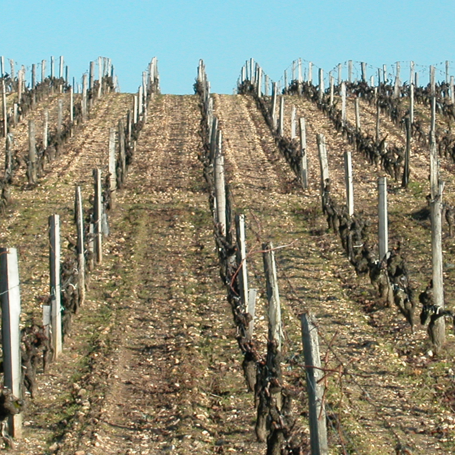 Normanby Fine Wines