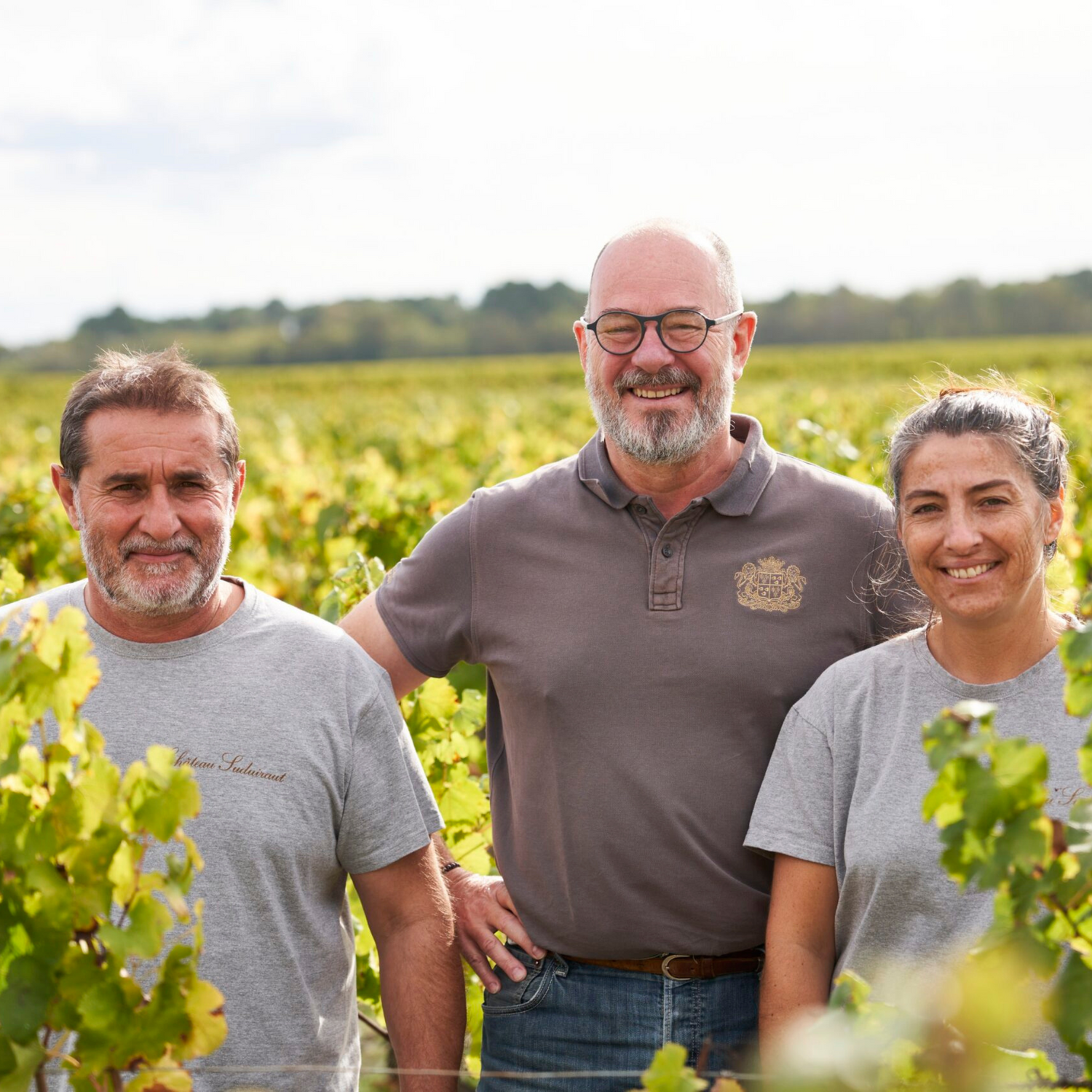 Normanby Fine Wines