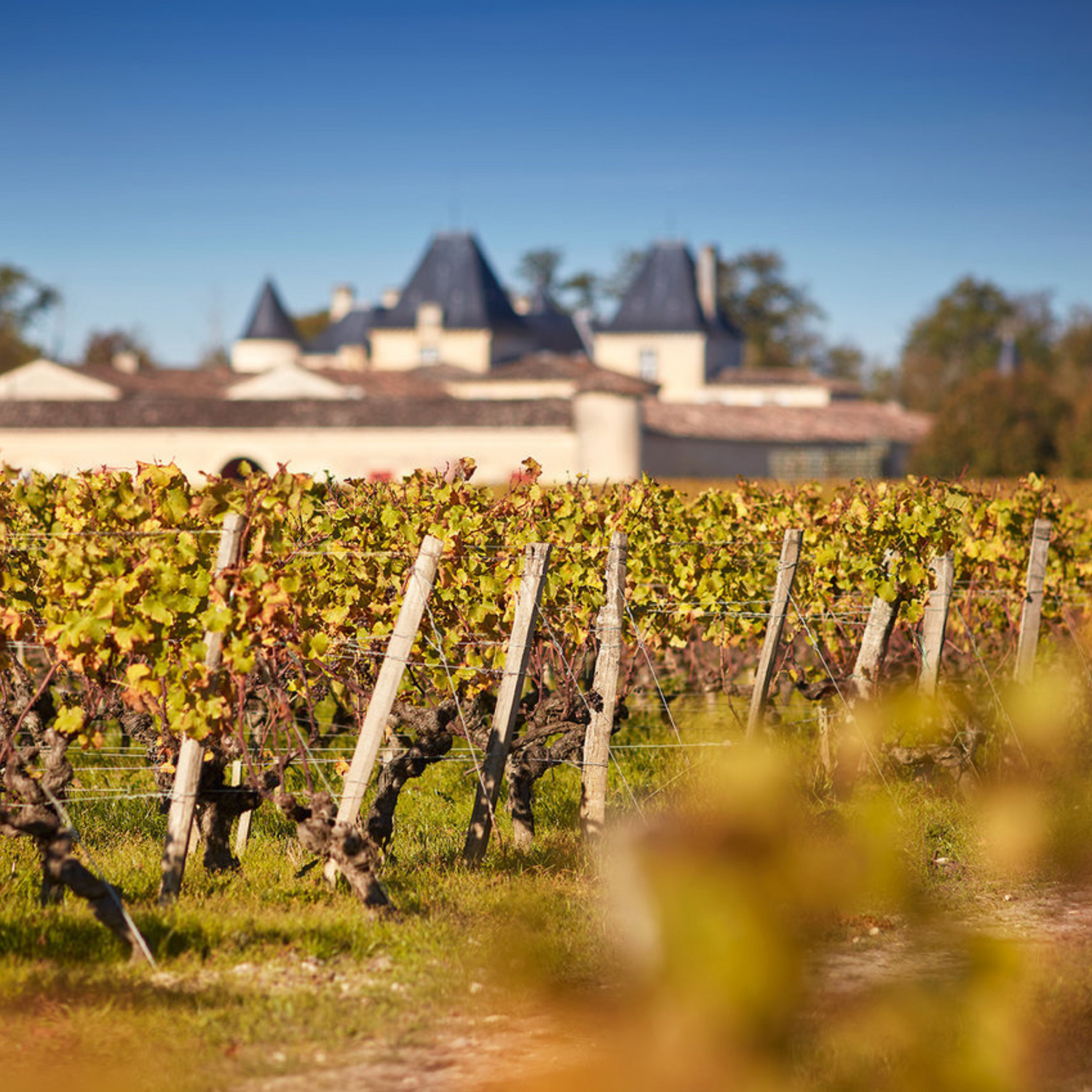 Normanby Fine Wines