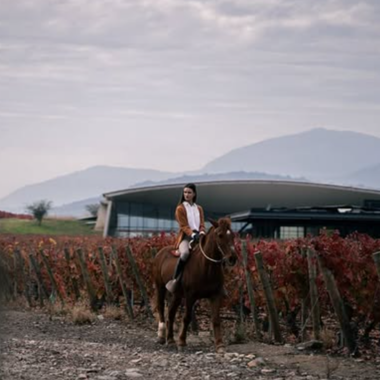 Normanby Fine Wines
