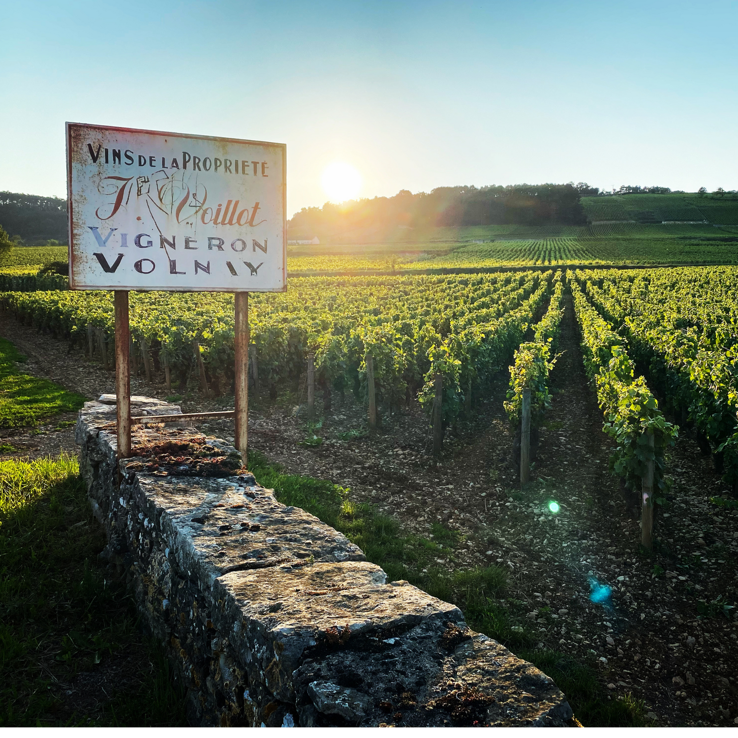 Normanby Fine Wines